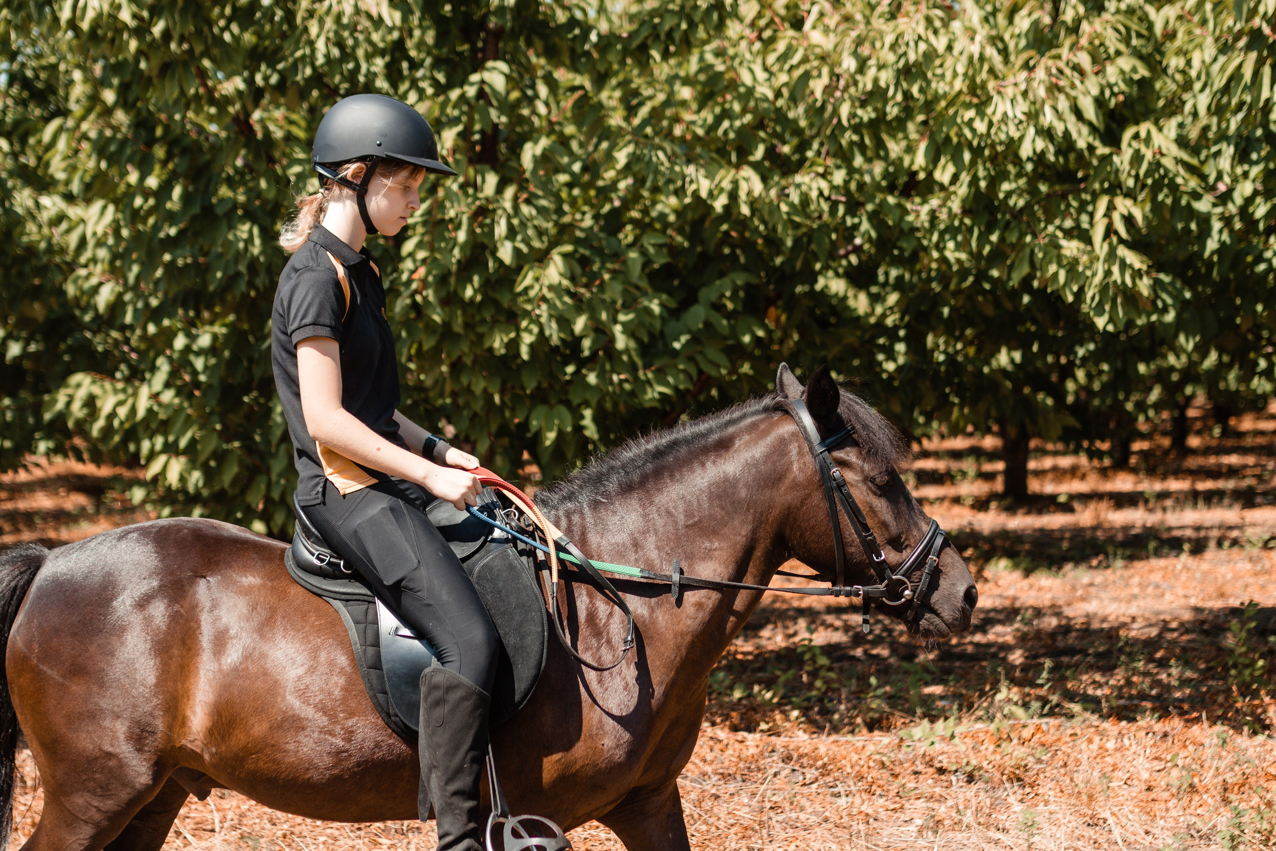 Выезды в поля на лошади