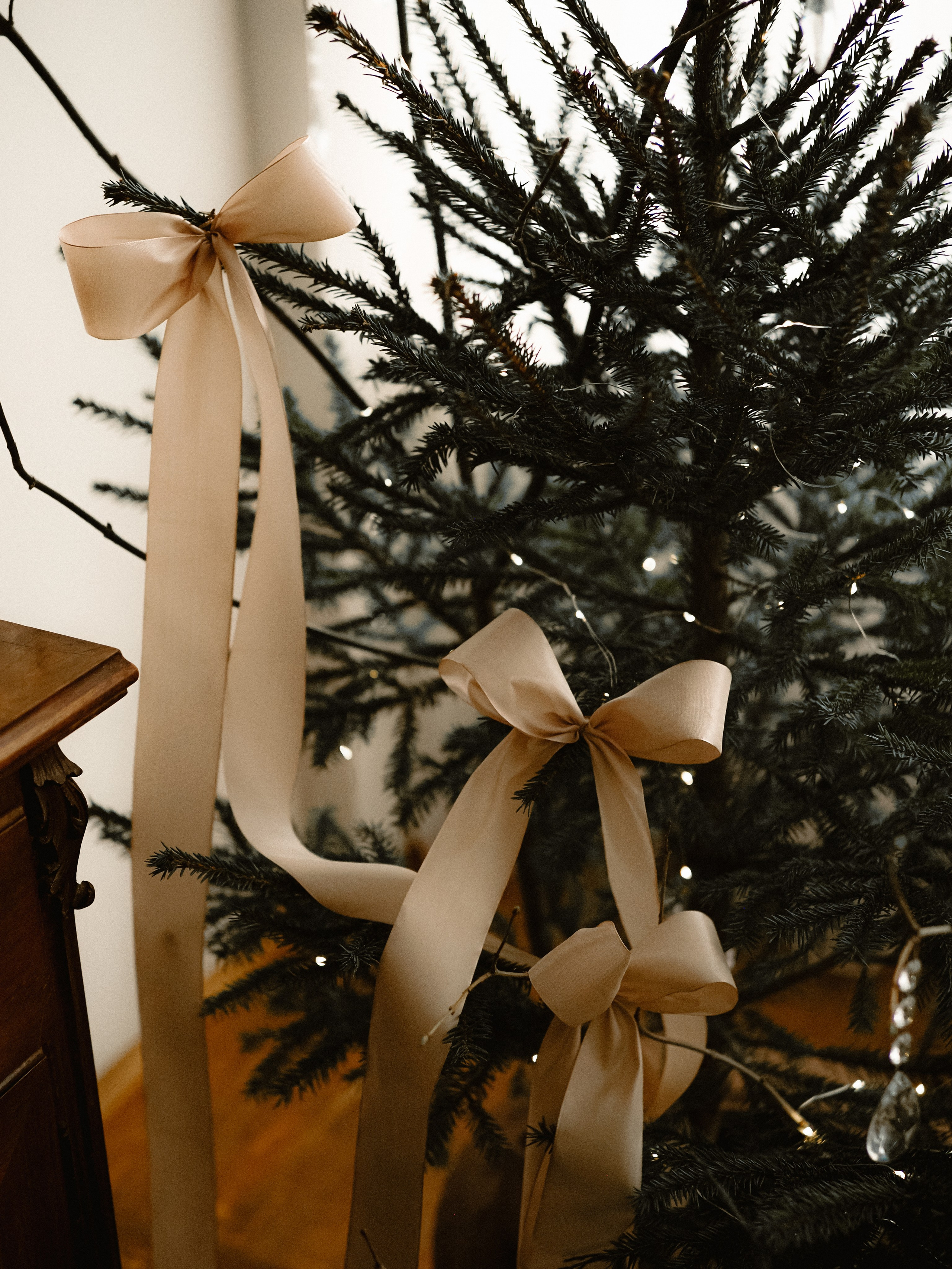 Новогодняя сказка. Фотограф Рязань. Семейный Свадебный фотограф