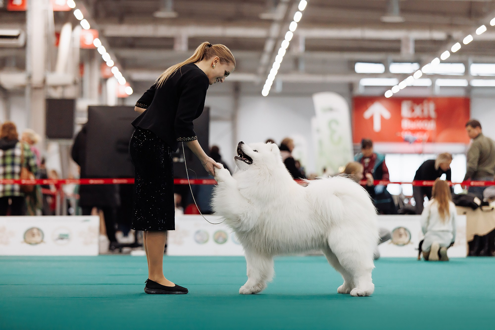 29-30.11.2025 — Казань «Зилант». Фотограф-анималист Саша Вязьмина