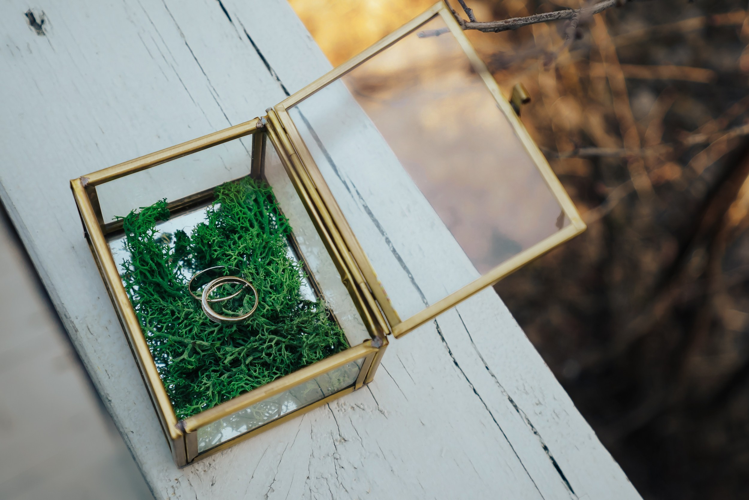 Свадьба Масловых. Ваш свадебный и семейный фотограф