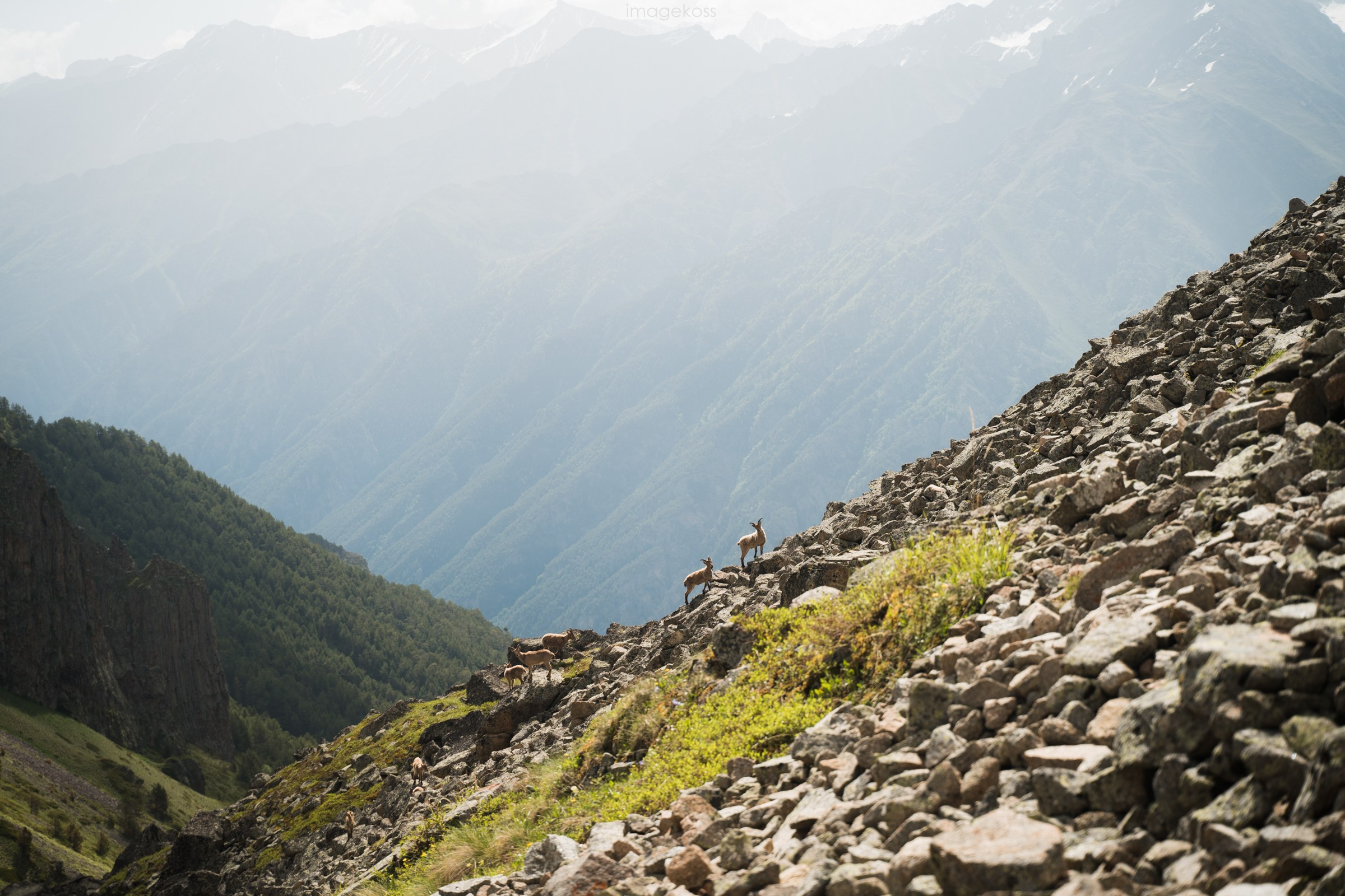 КБР. Эльбрус, Адыр-Су, Сылтран-кёль. Фотограф в поход и восхождение на Эльбрус Игорь Косарев