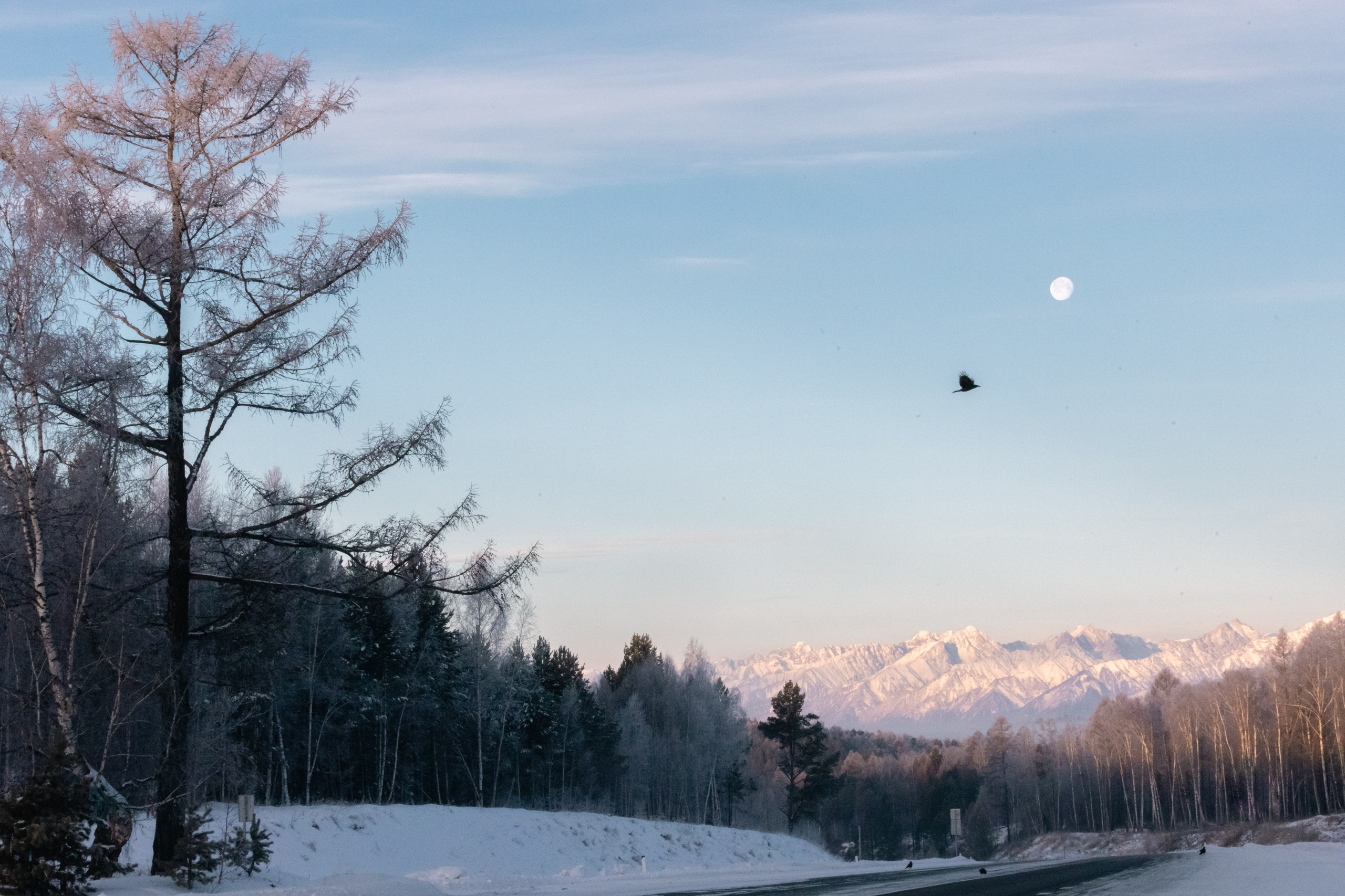 Байкал. Фотограф в Красноярске Оксана Корчагина