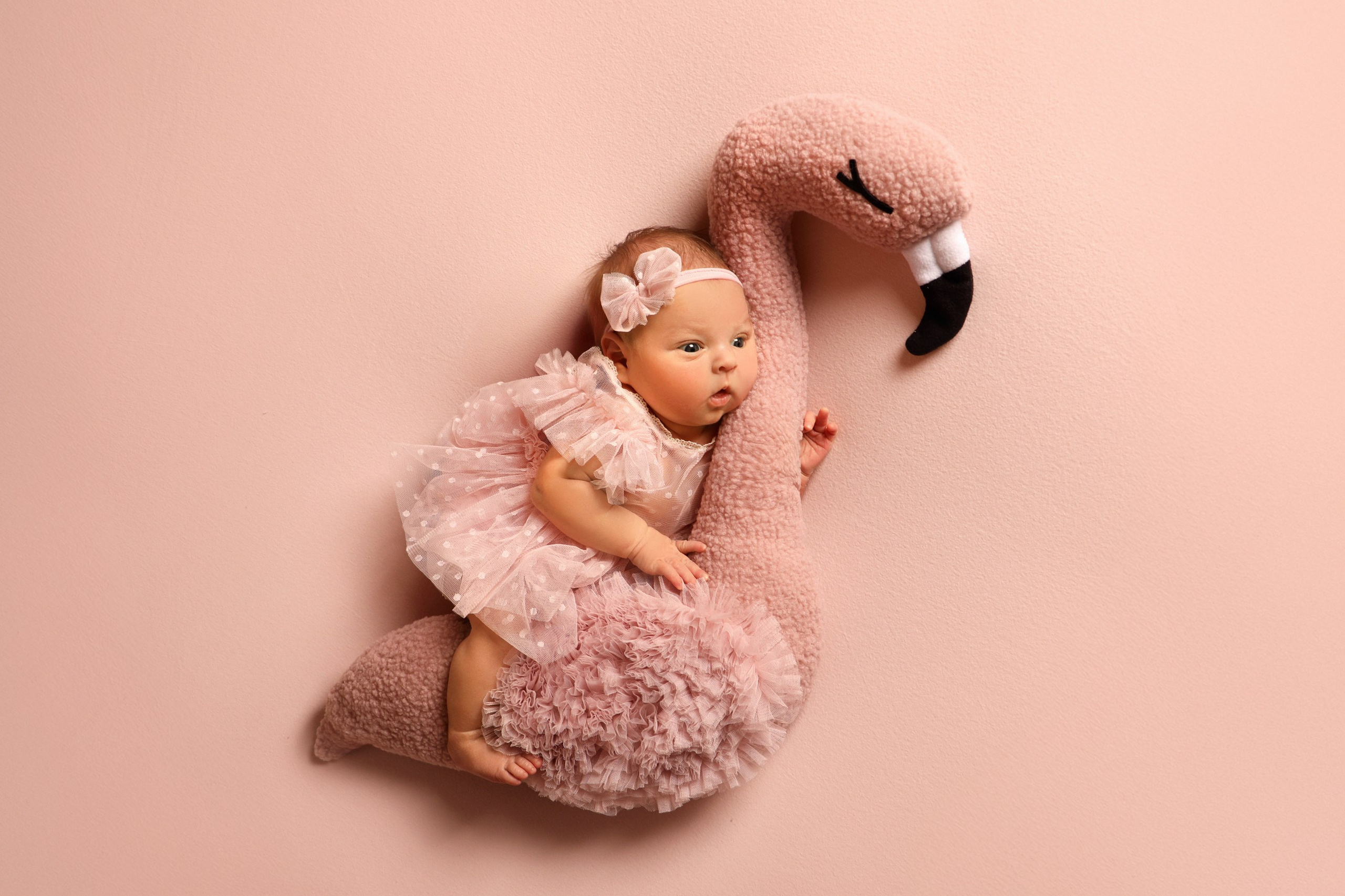 фотосессии новорожденных великий новгород