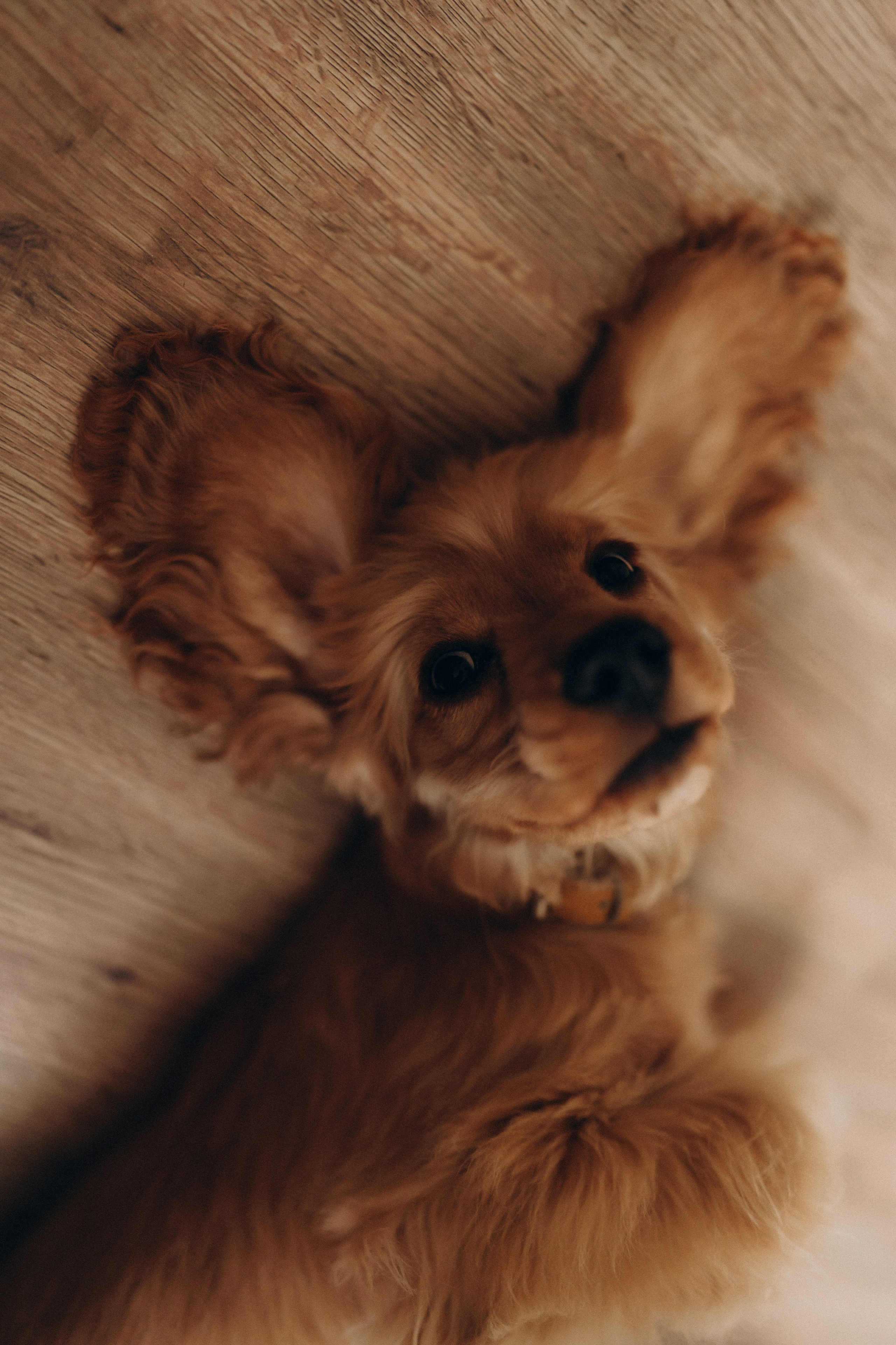 Сделано с любовью. Семейный фотограф в Ангарске/ Иркутске