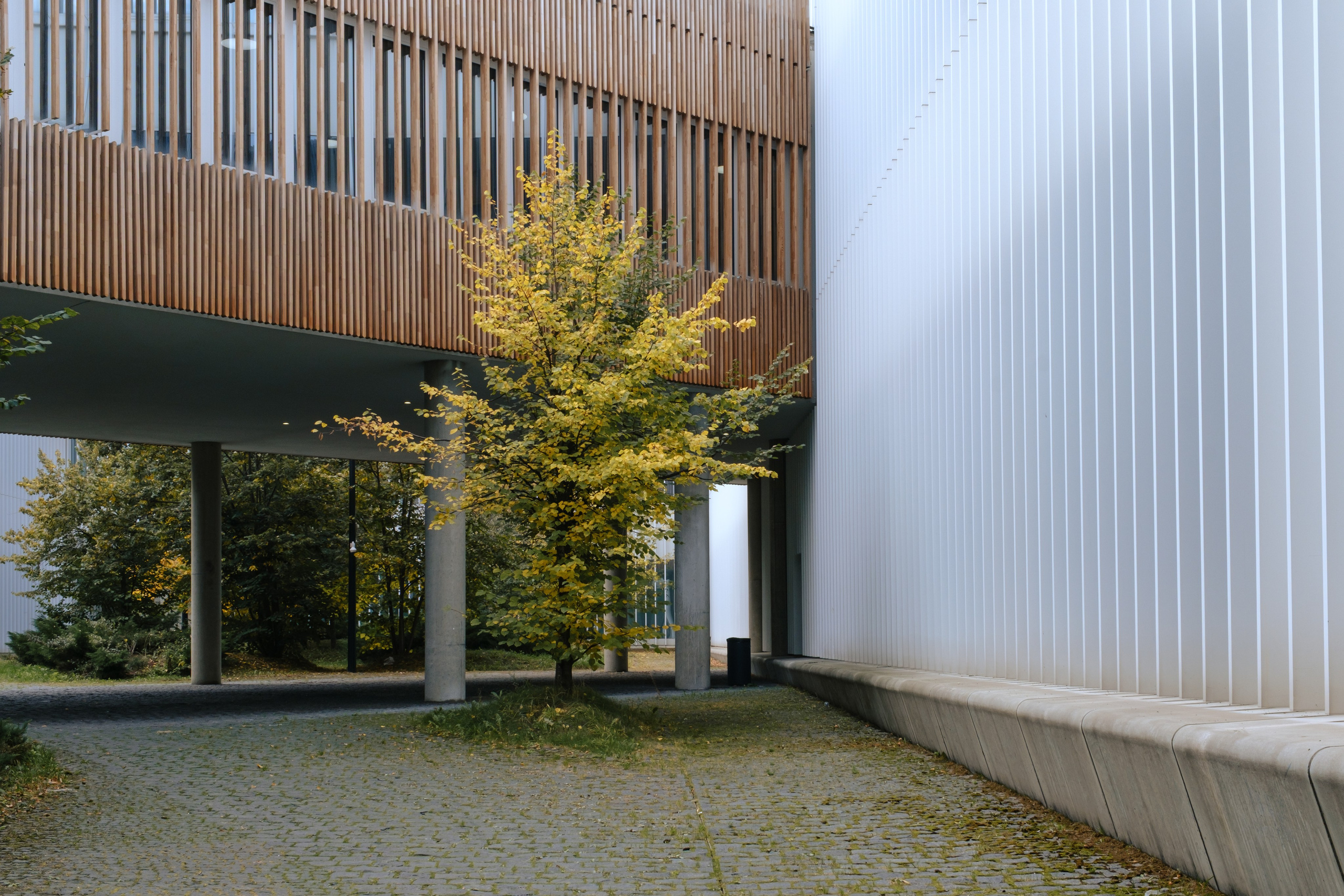 Сколтех, 2025. Фотограф и исследователь городской среды Ксения Русс