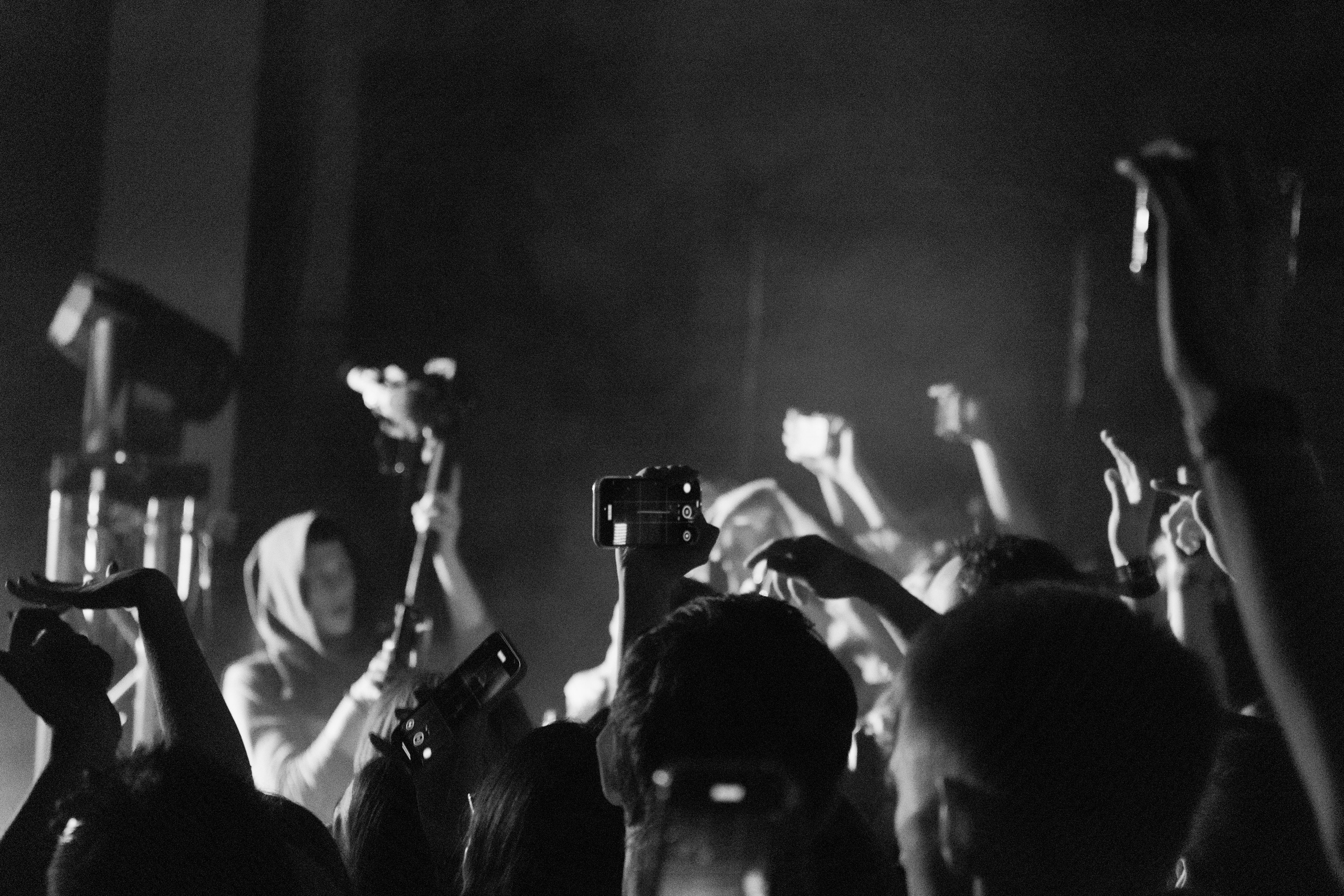 Хаски — Смоленск 23.05.2025. KiPPER Gallery — Фотограф