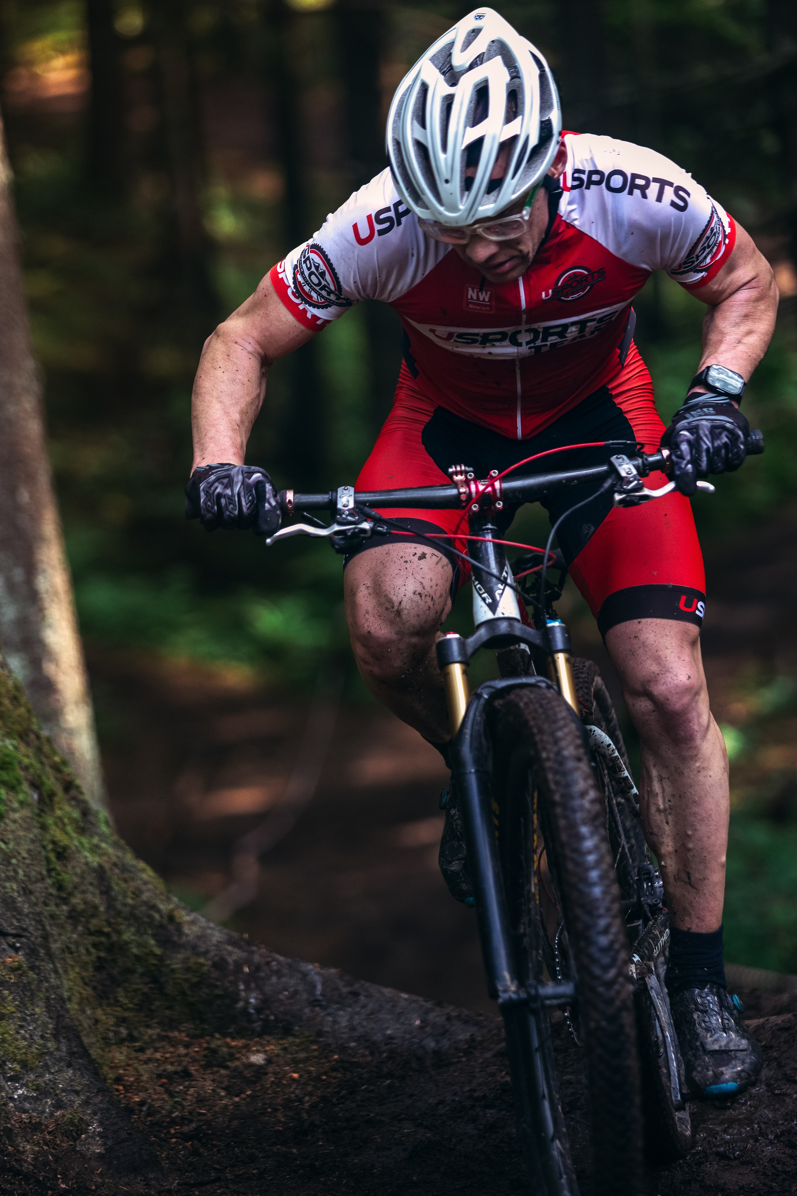 Гонка Юкки. Фотограф анималист Никита Натальный