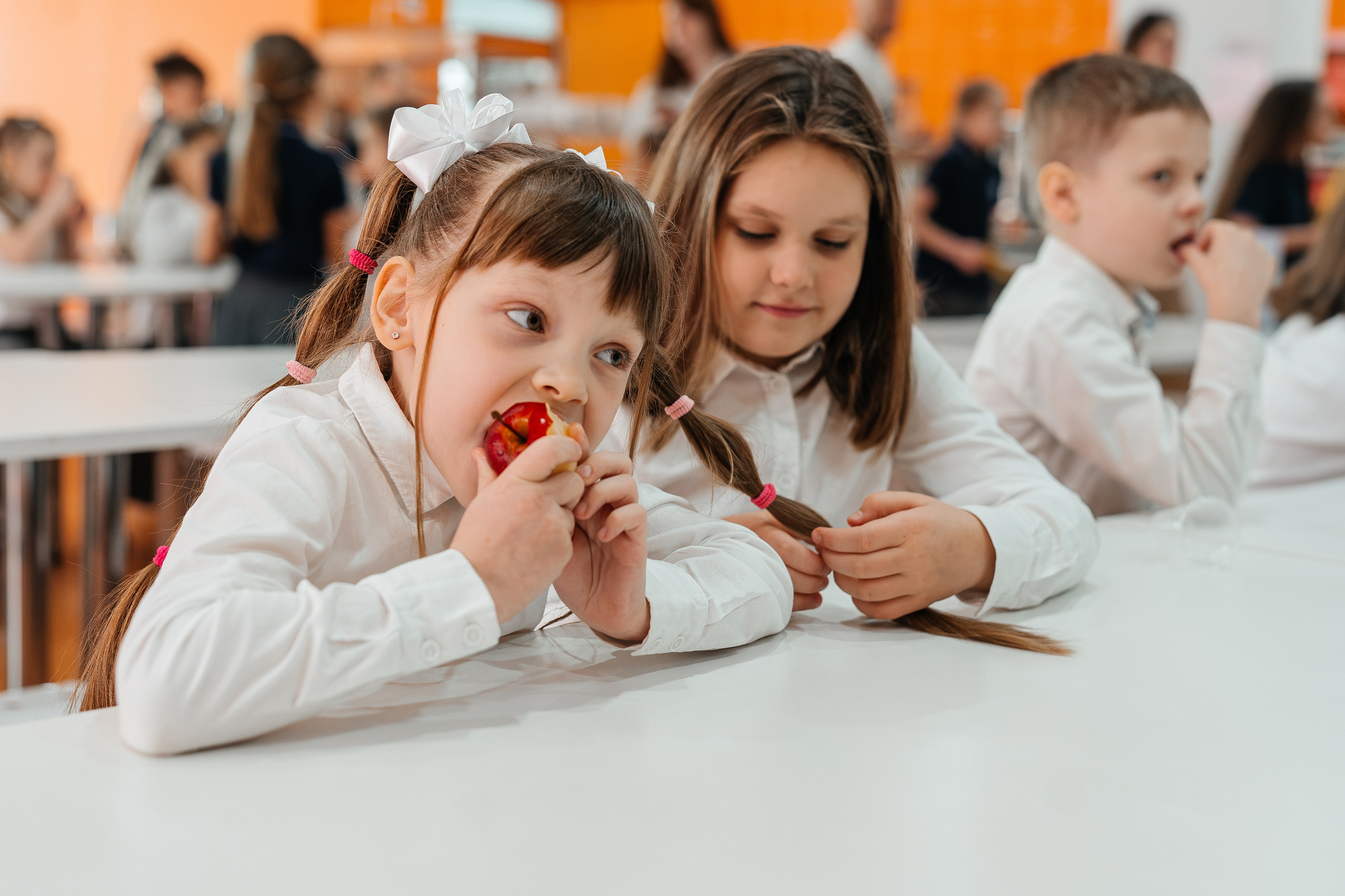 1 класс. Школьные альбомы и альбомы для детского сада. Юлия Осипова. Москва