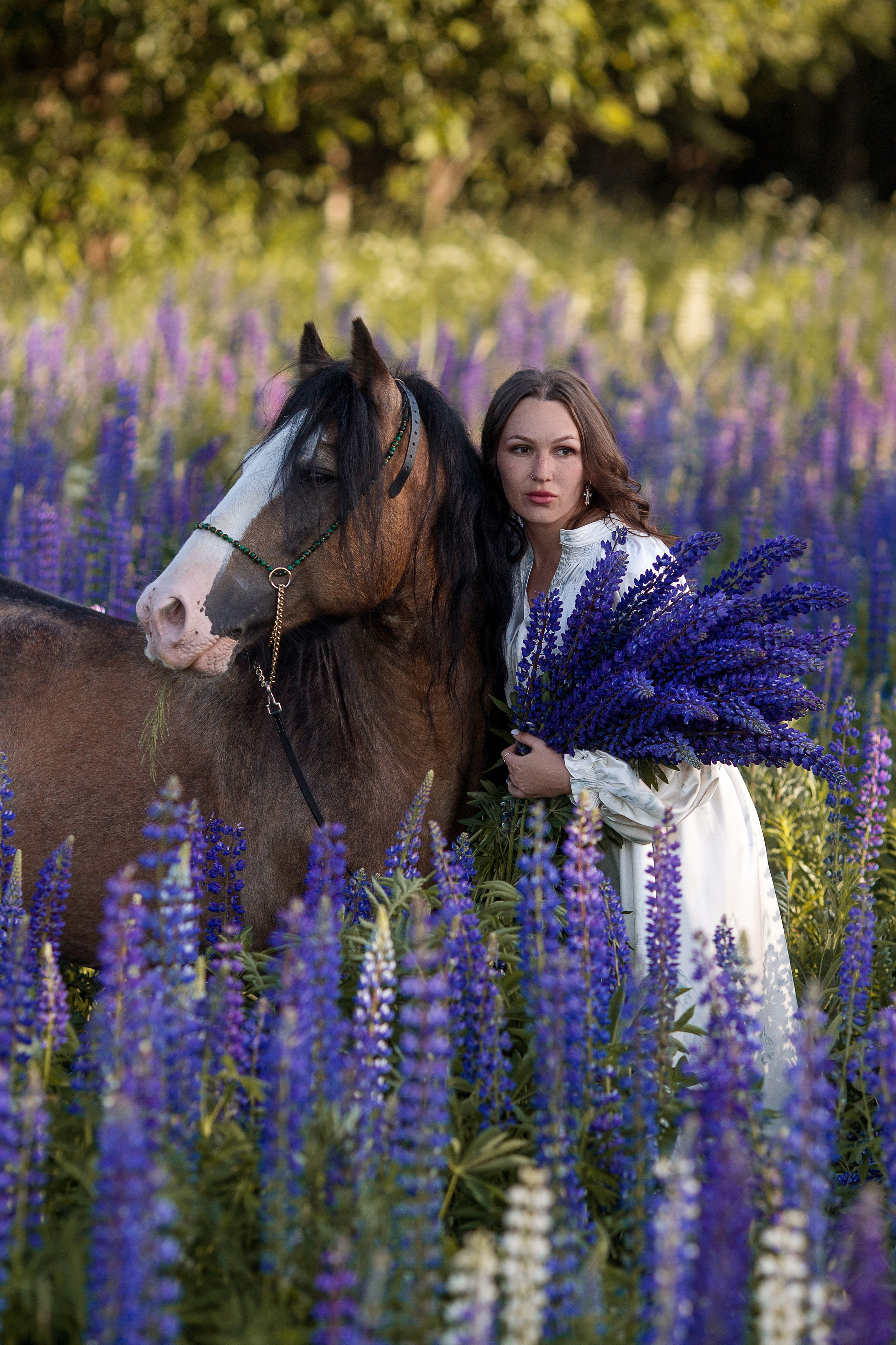 Фотосессия в люпинах с лошадью