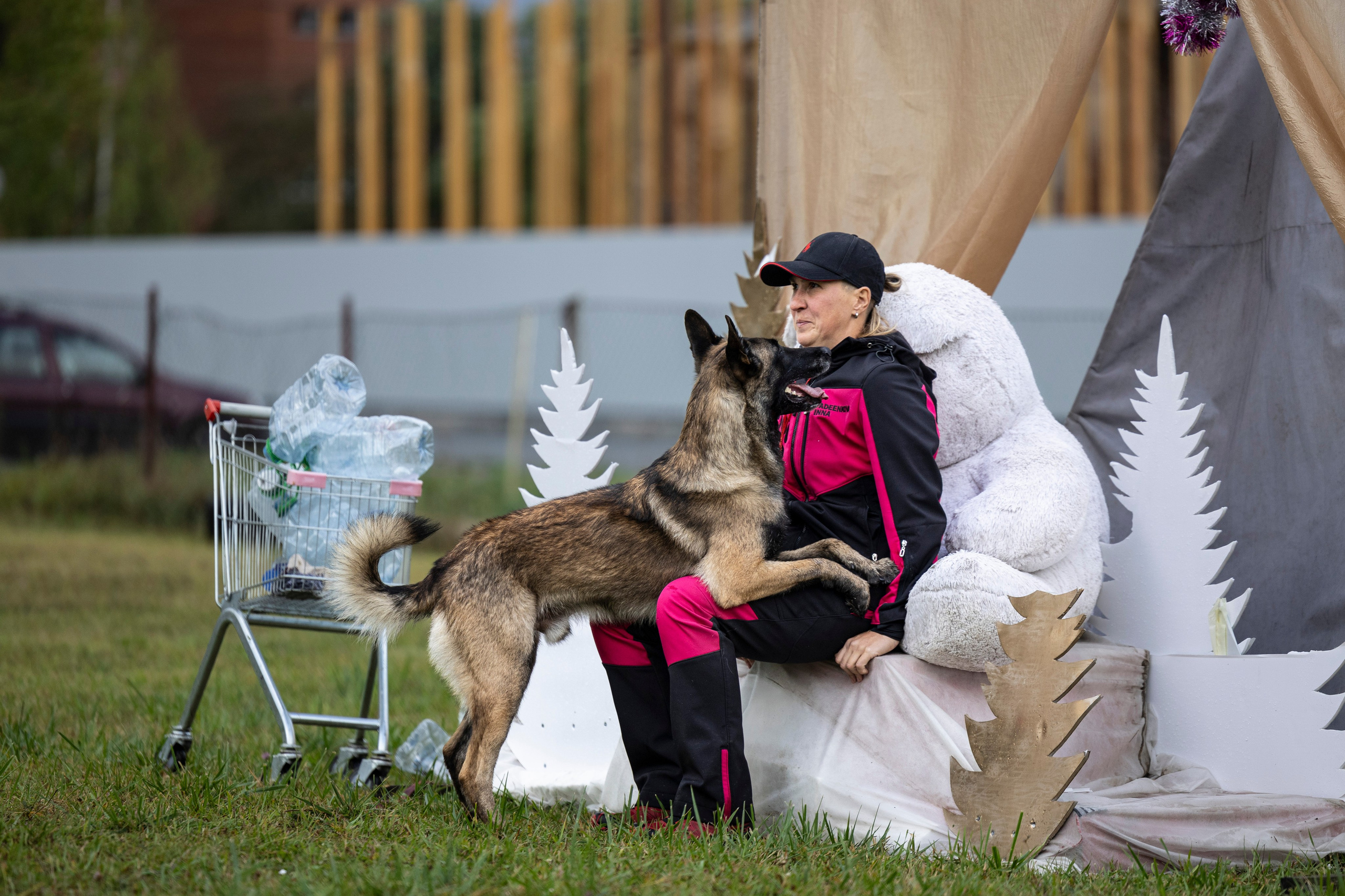 Испытания по Мондьорингу г. Пушкин. Фотограф-анималист Анна Маринич