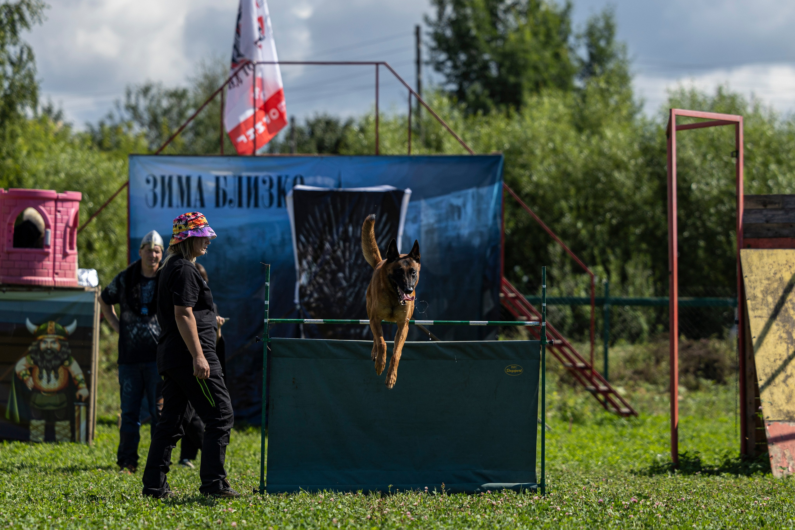 Соревнования по Мондьорингу г. Вологда 10-11.08.2024. Фотограф-анималист Анна Маринич