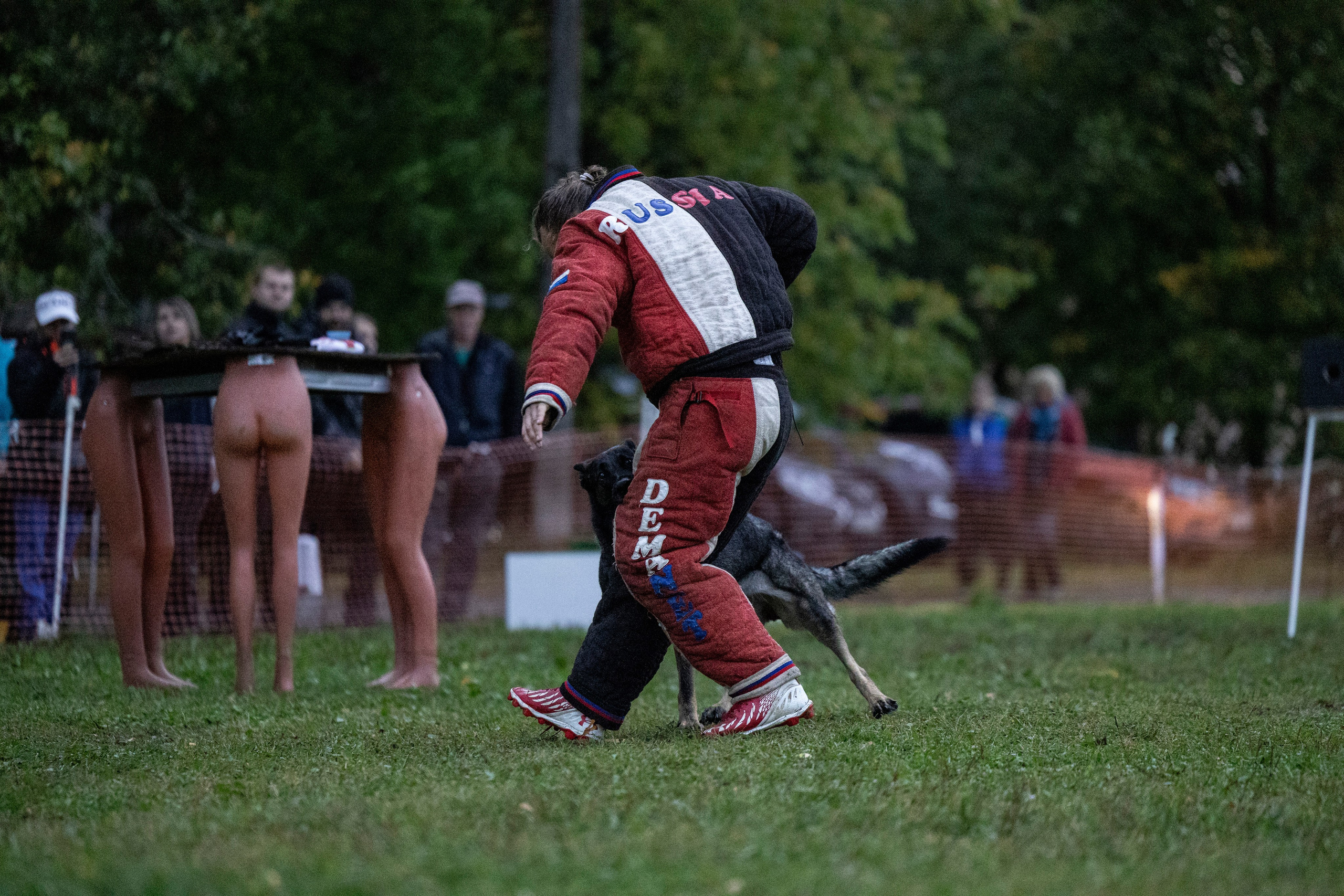 Испытания по Мондьорингу г. Пушкин. Фотограф-анималист Анна Маринич