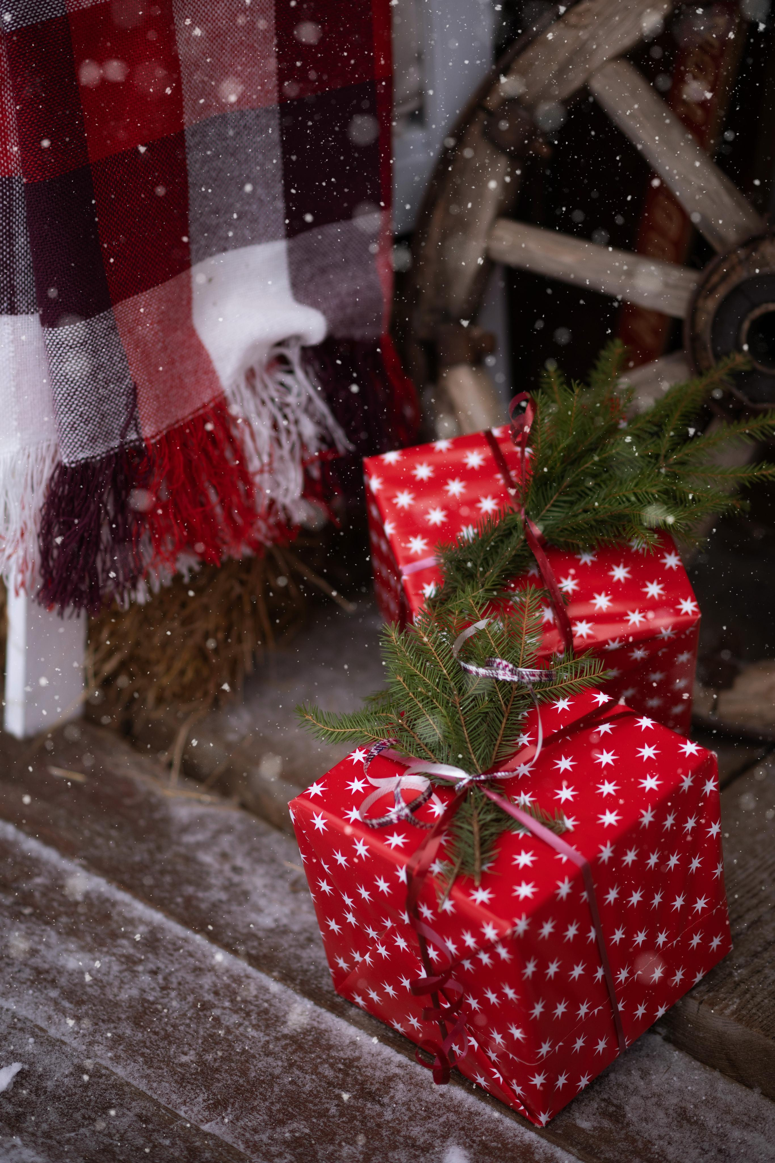 Волшебный лес. Свадебный, семейный и детский фотограф в Москве и области