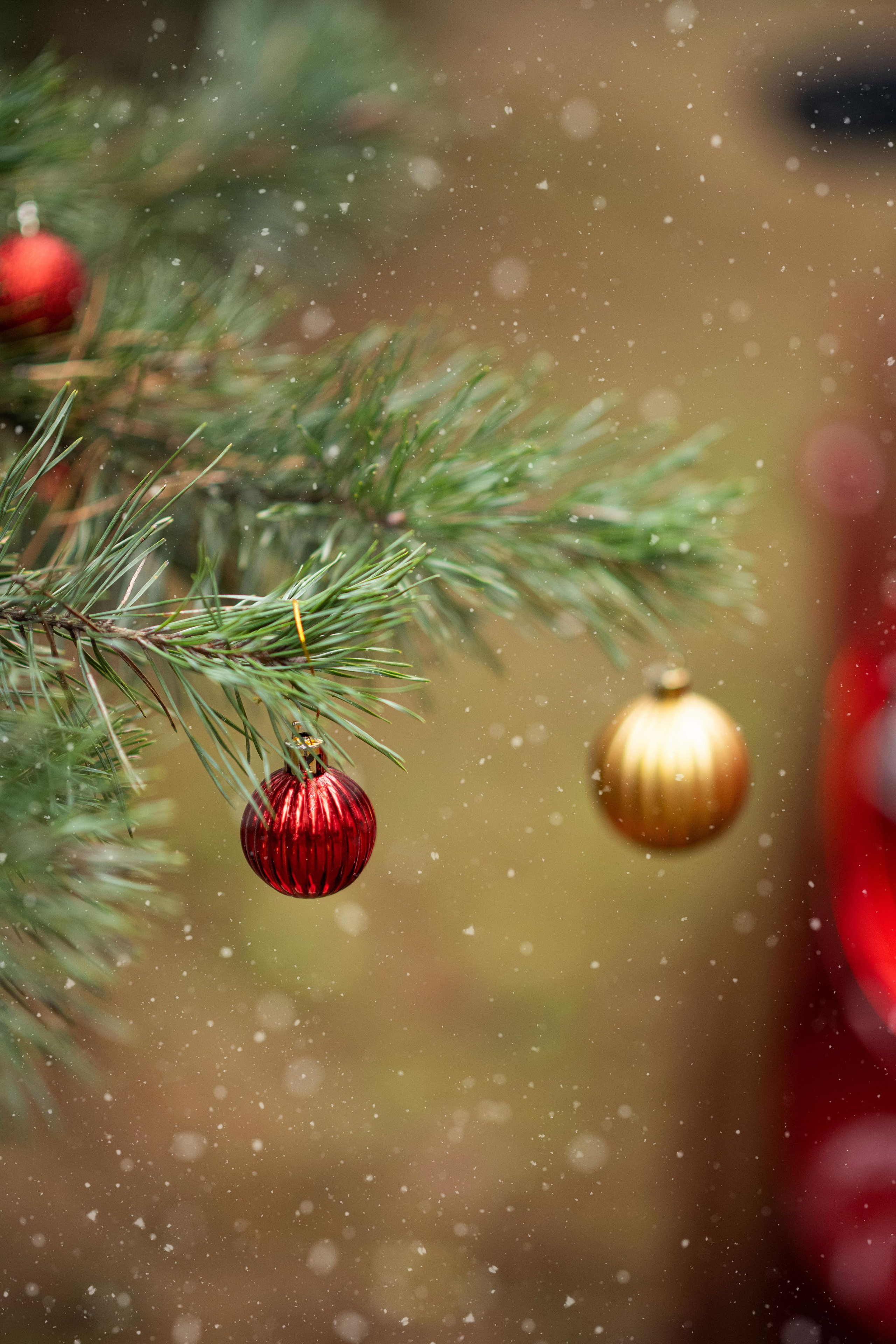 Лесная сказка. Свадебный, семейный и детский фотограф в Москве и области