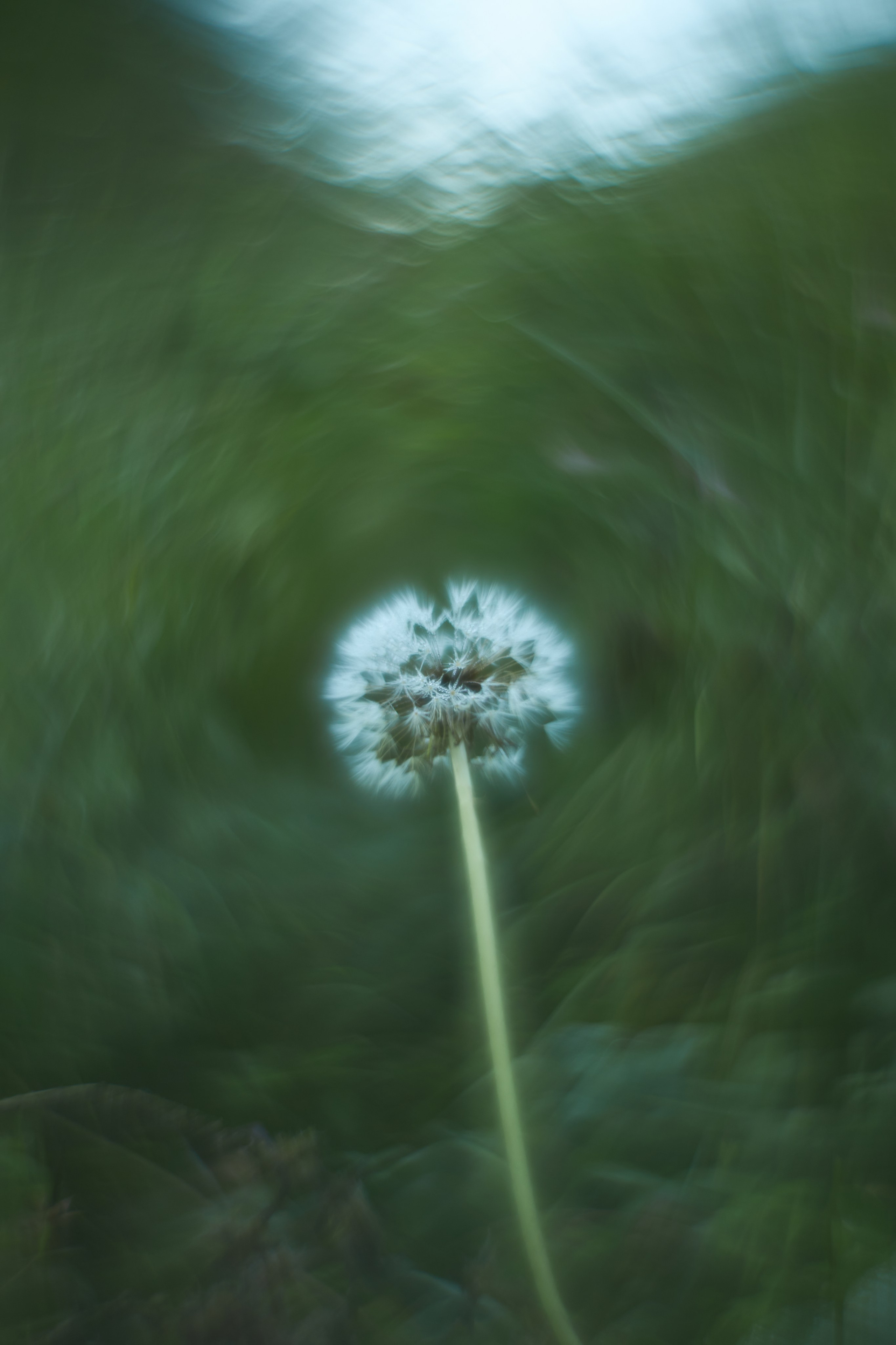 «Незримые Миры». Арт-фотограф во Владивостоке Дмитрий Осипчук