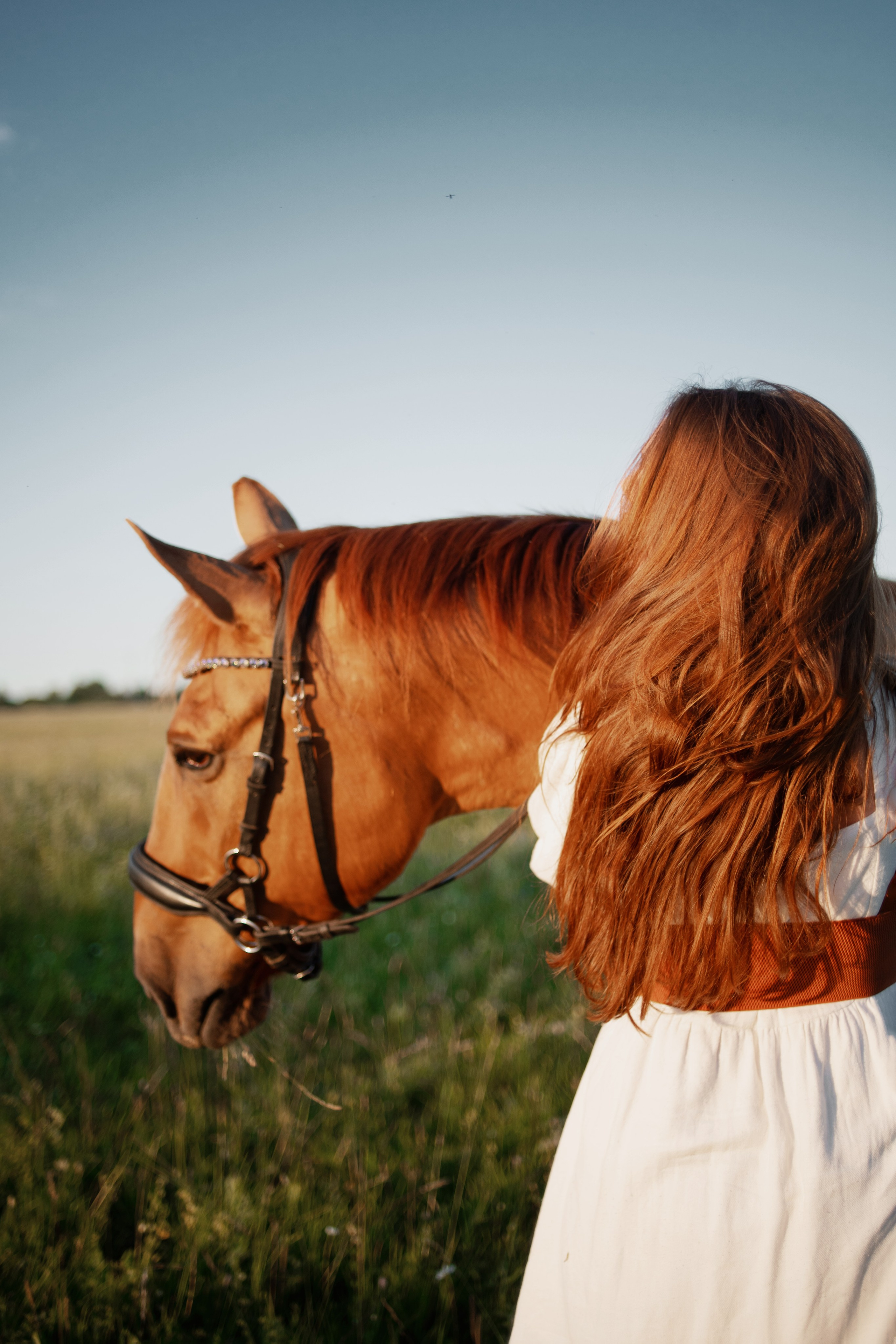 Ранчо. Ваш семейный фотограф