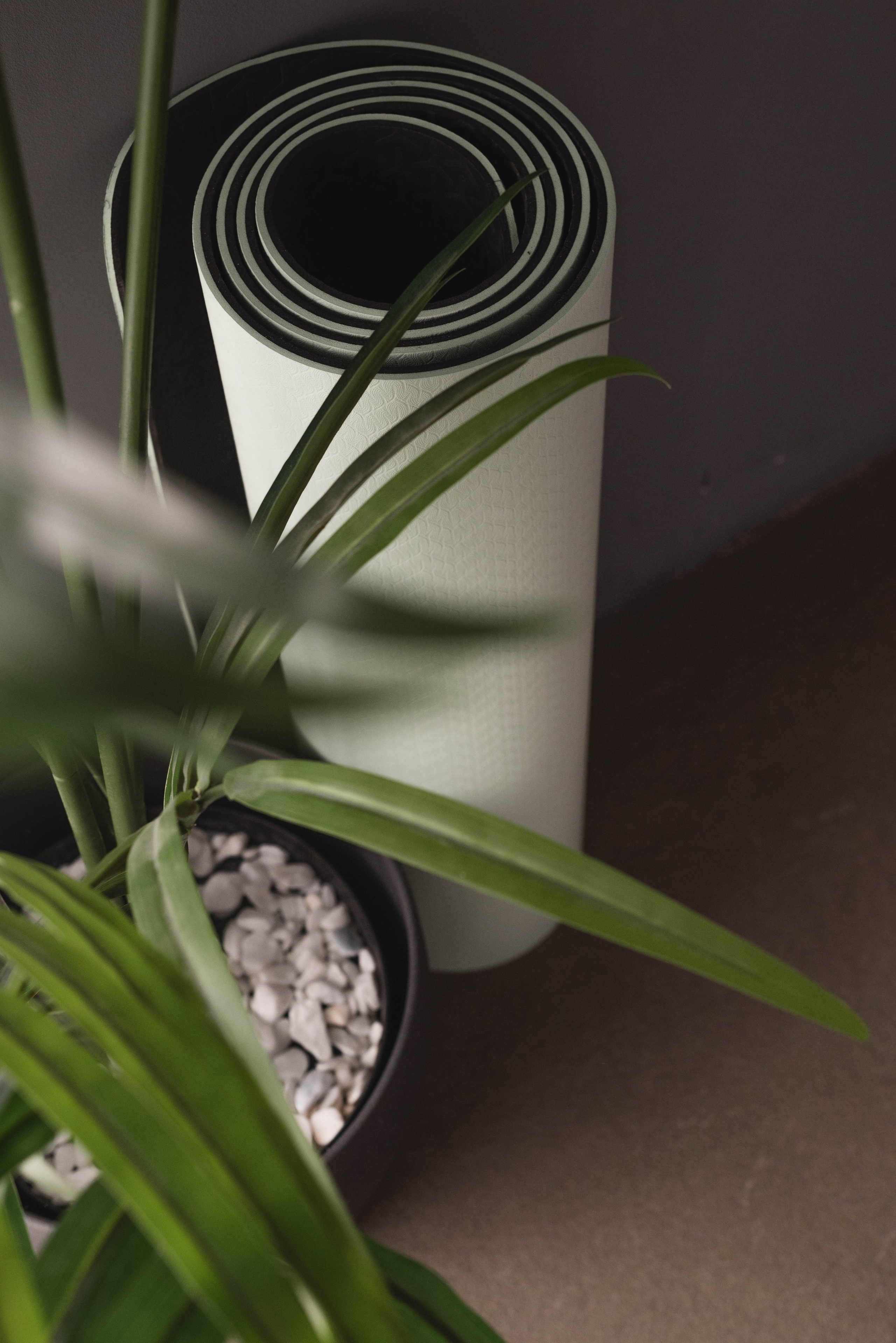 Имиджевая съемка для йога студии. Свадебный и семейный фотограф в Новосибирске, Санкт-Петербурге, Москве