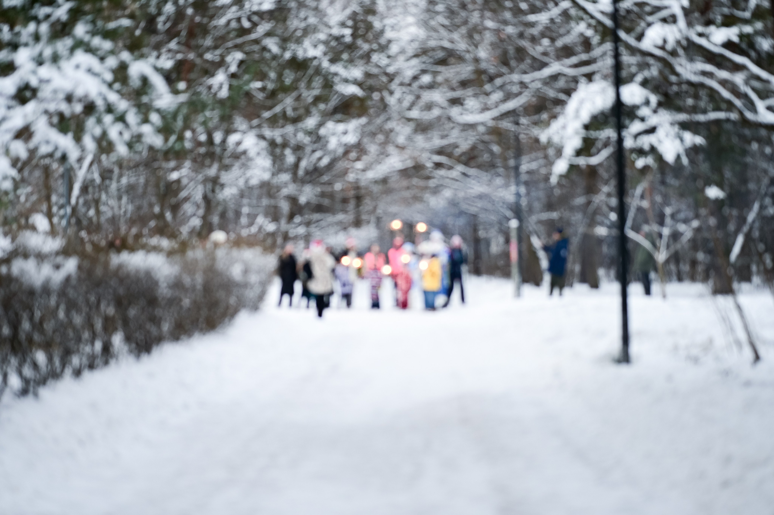 Новогодний S95 Кузьминки (01.01.25). Фотограф | Ирина Гамзинова | Москва