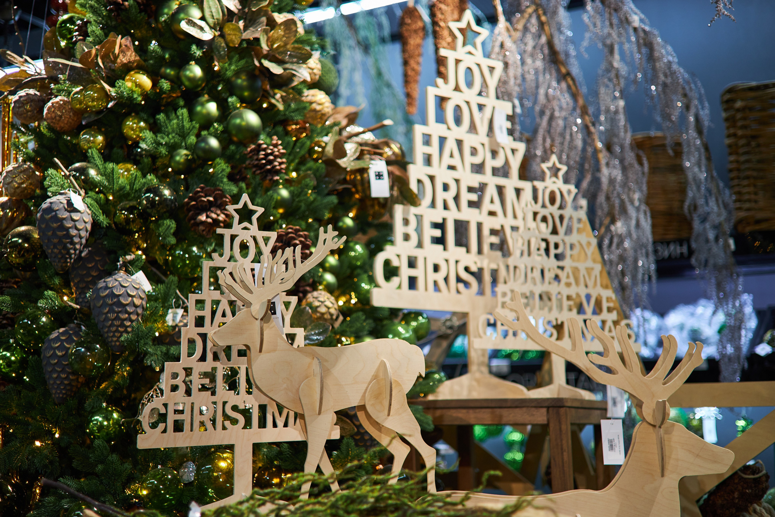 Best decor place. Фотограф Сергей Склемин