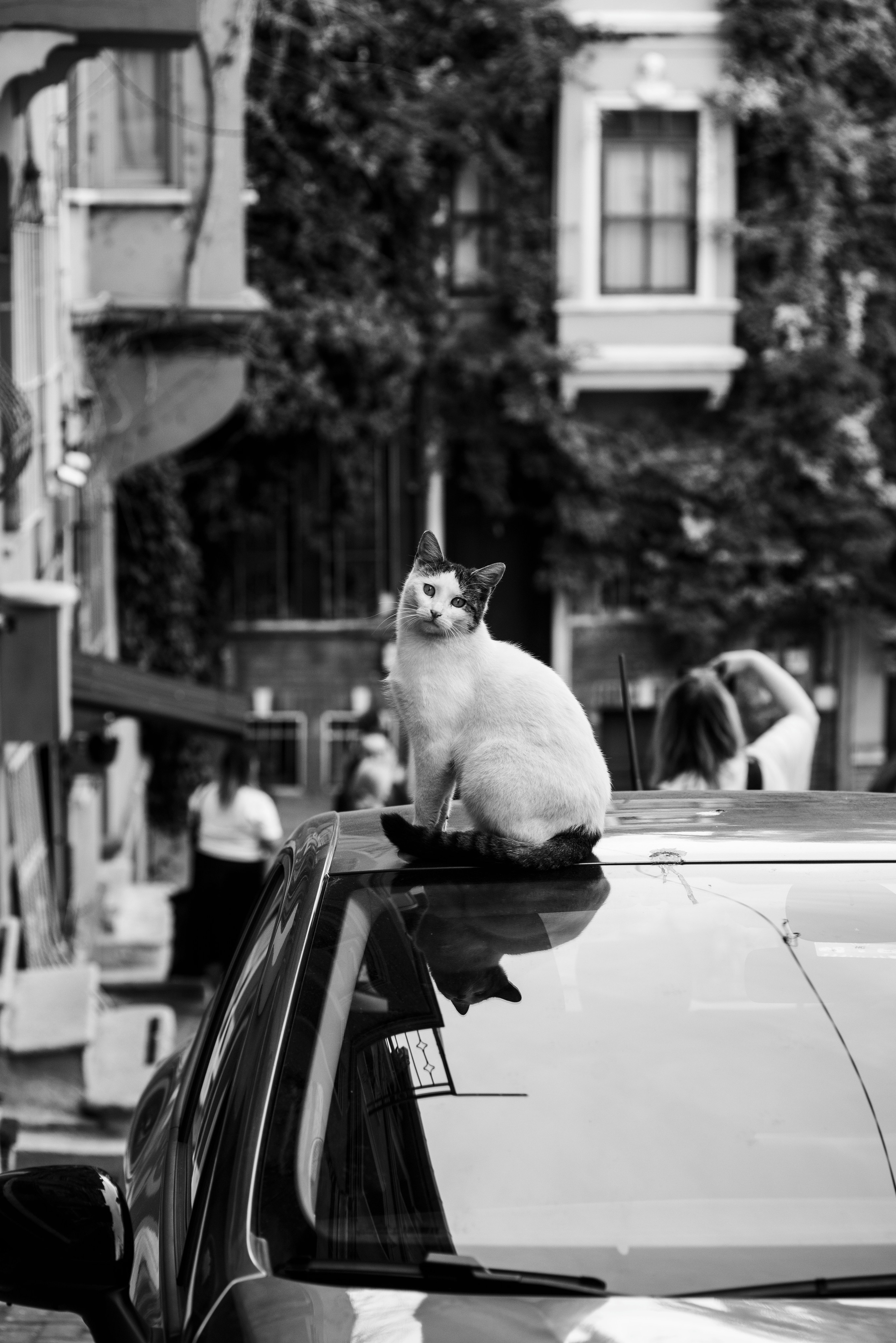 Стамбул. Фотограф Милена Яновска