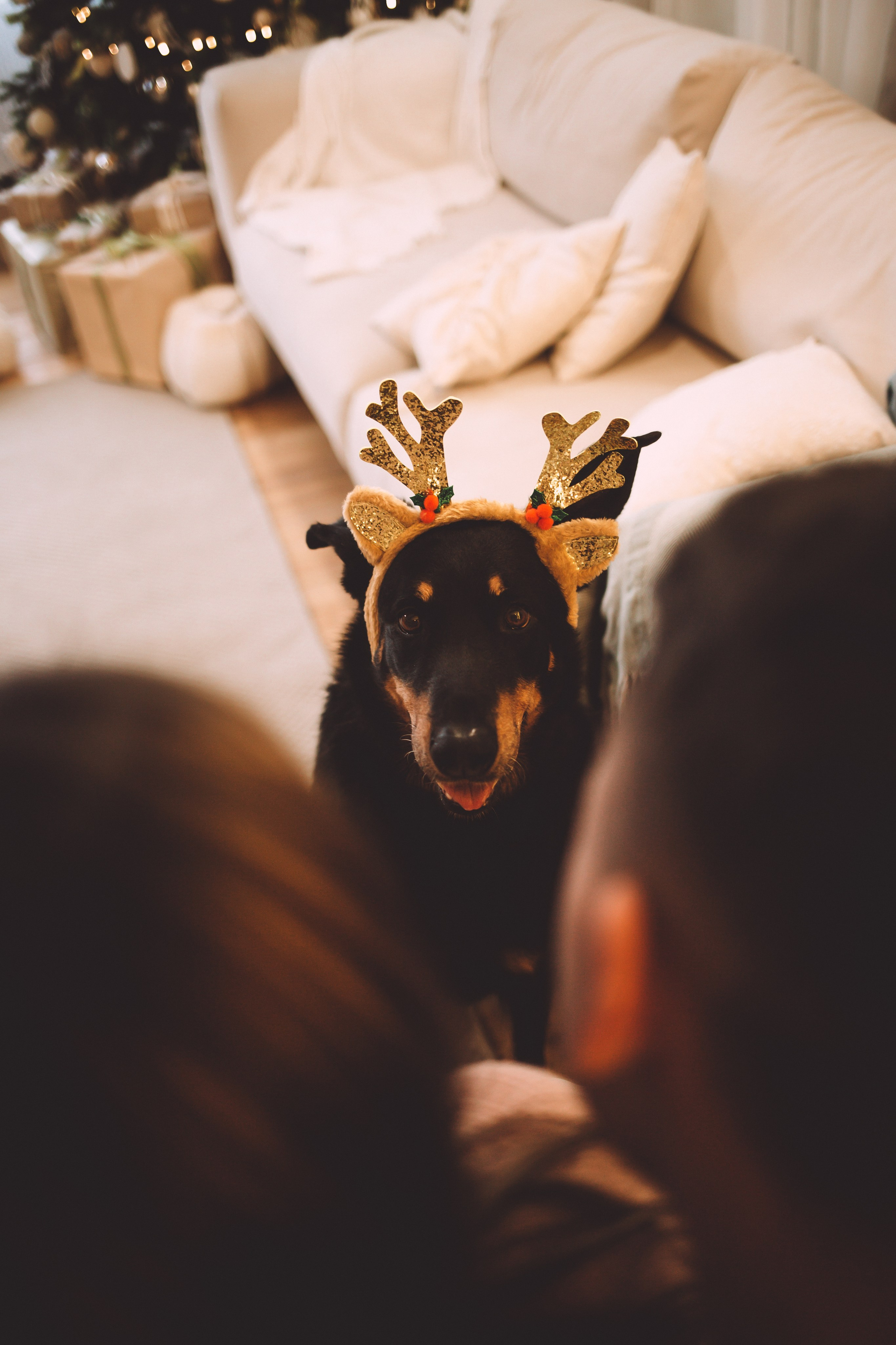 Антон & Полина. Анна Михайлова|Свадебный фотограф в Санкт-Петербурге