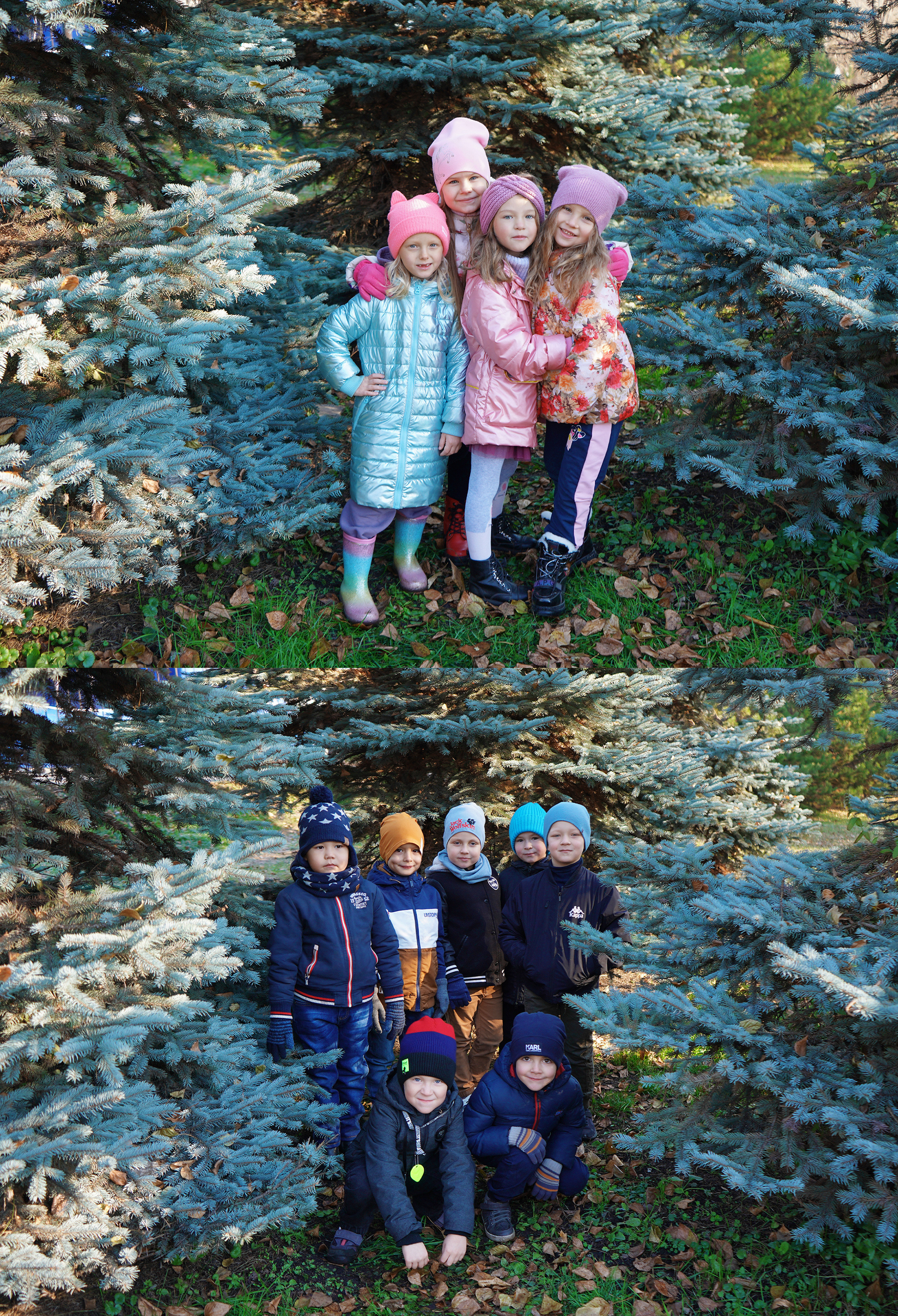 Дизайн и фотографии альбомов ВНЕ детского сада. Фотограф, видеооператор Нина Коршунова