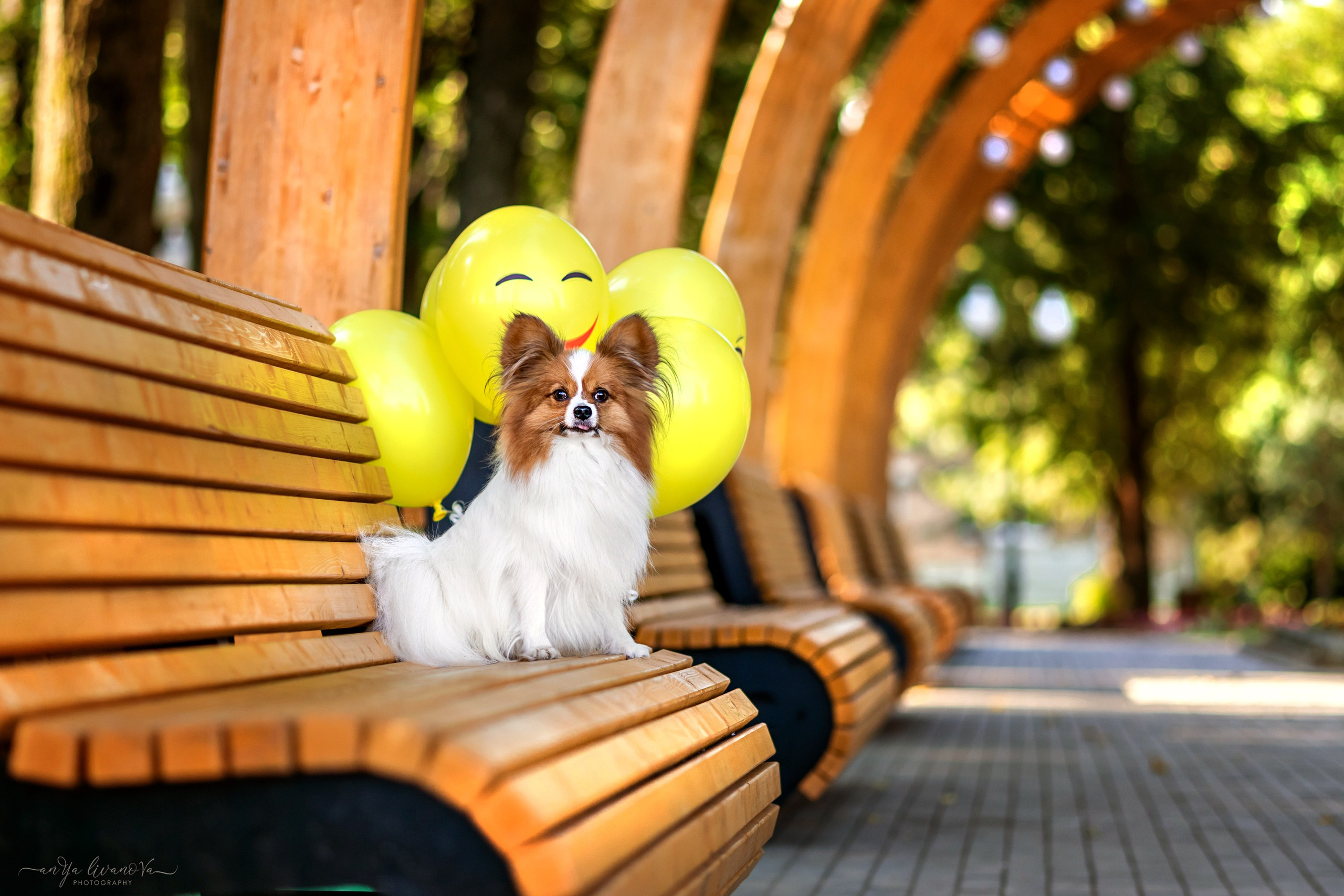 Царёчик 3 года. Фотограф анималист Аня Ливанова | Рыбинск