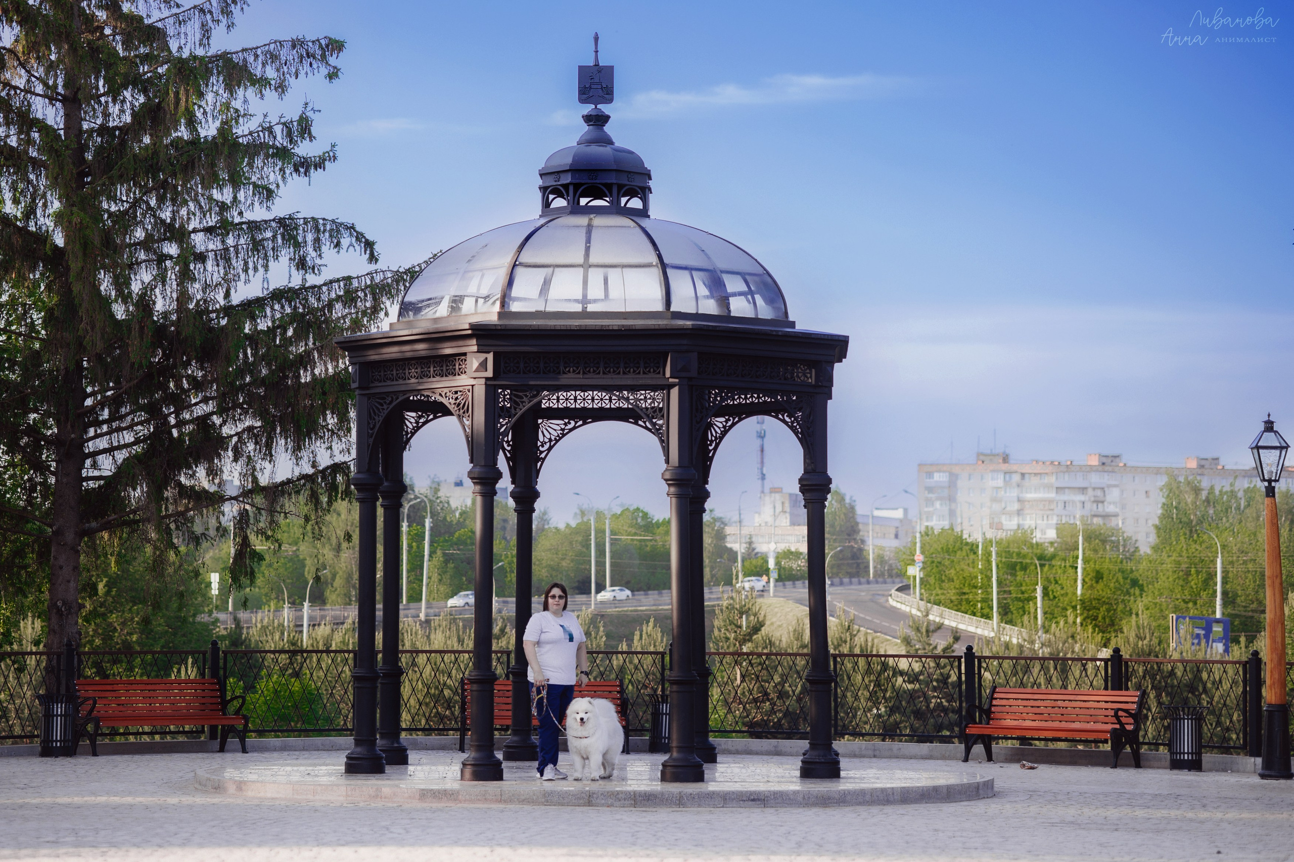 Наташа и Кимми. Фотограф анималист Аня Ливанова | Рыбинск