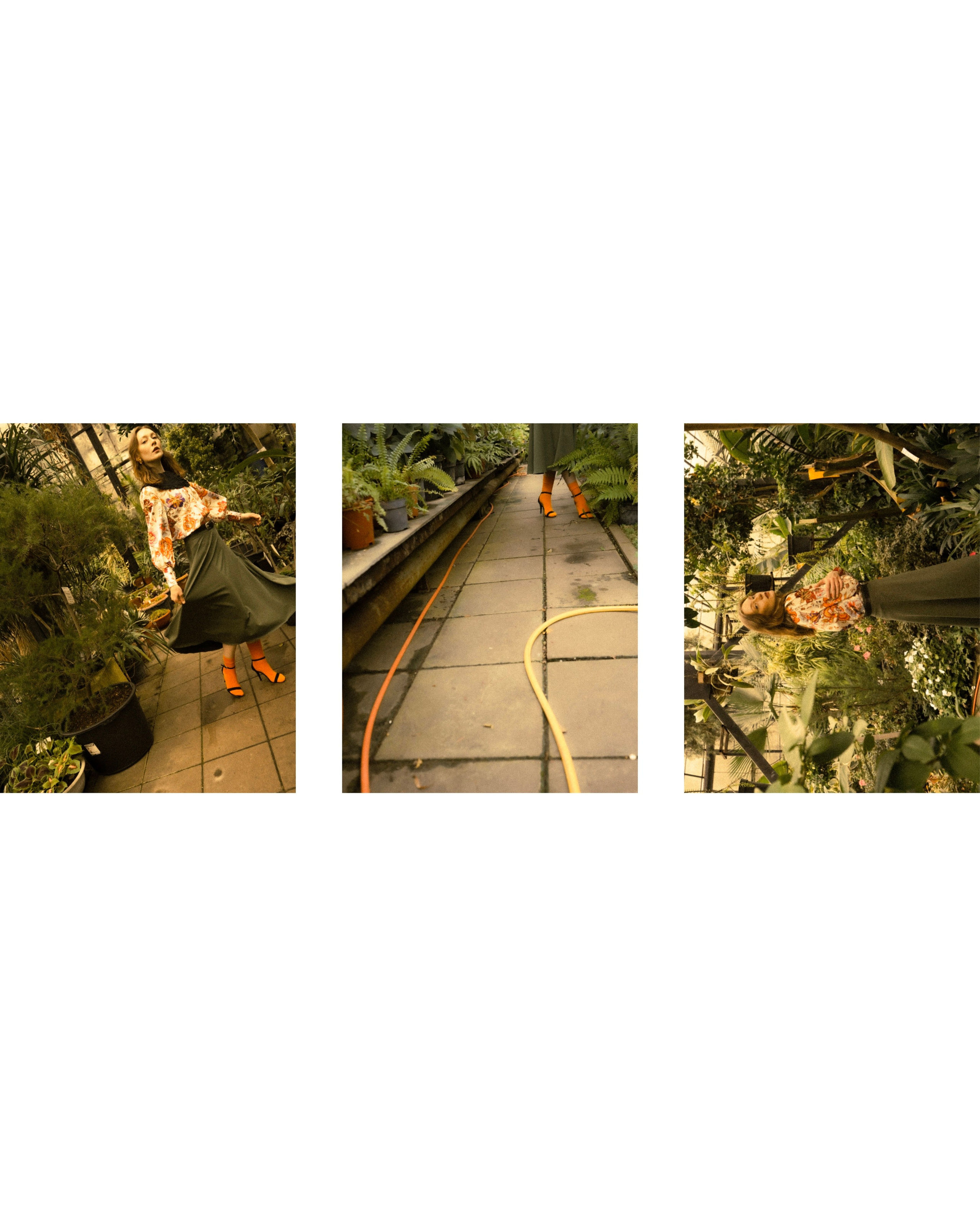 BOTANICAL GARDEN'24. Фотограф Нижний Новгород