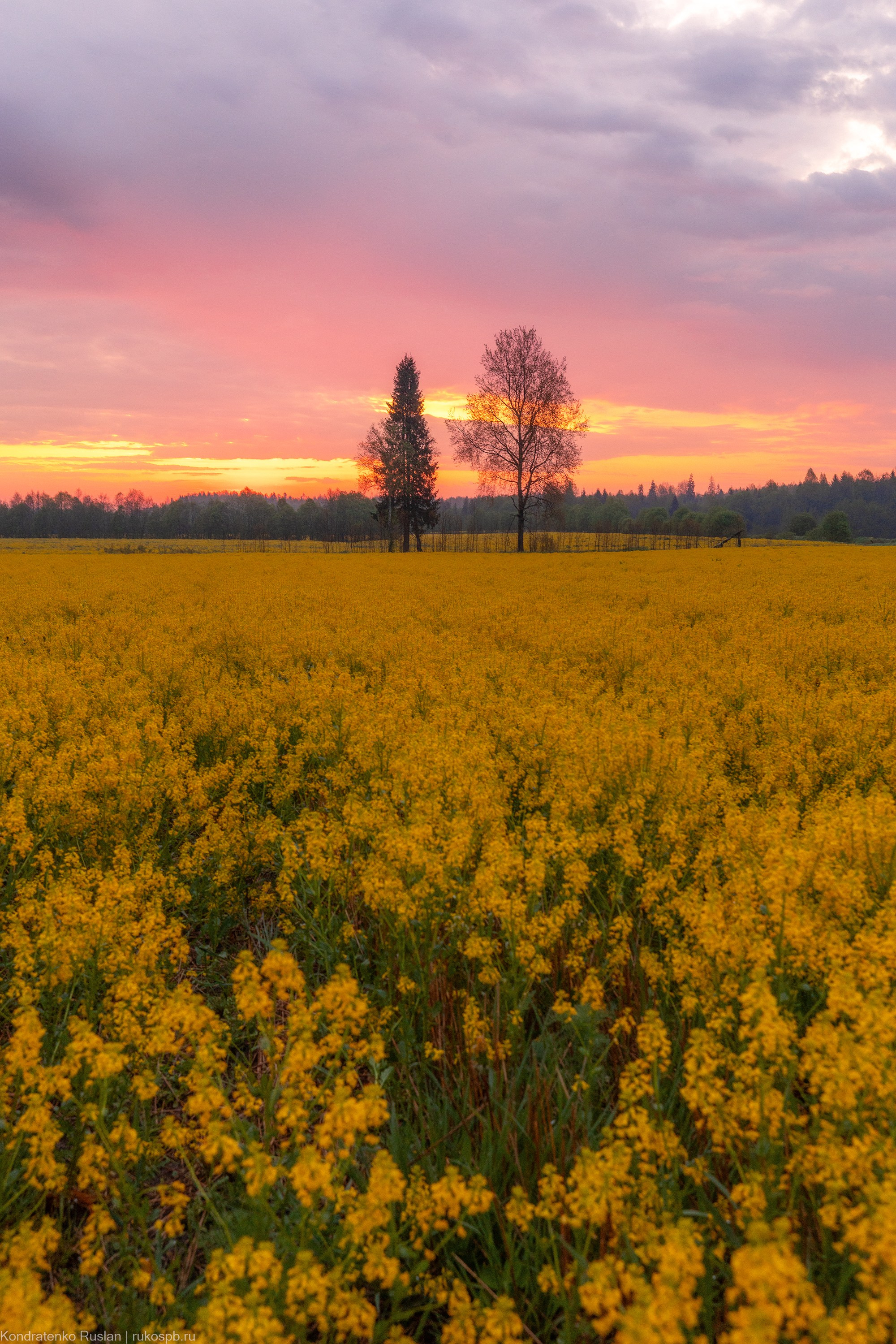Ленинградская область. Архитектурный и пейзажный фотограф Кондратенко Руслан, Санкт-Петербург