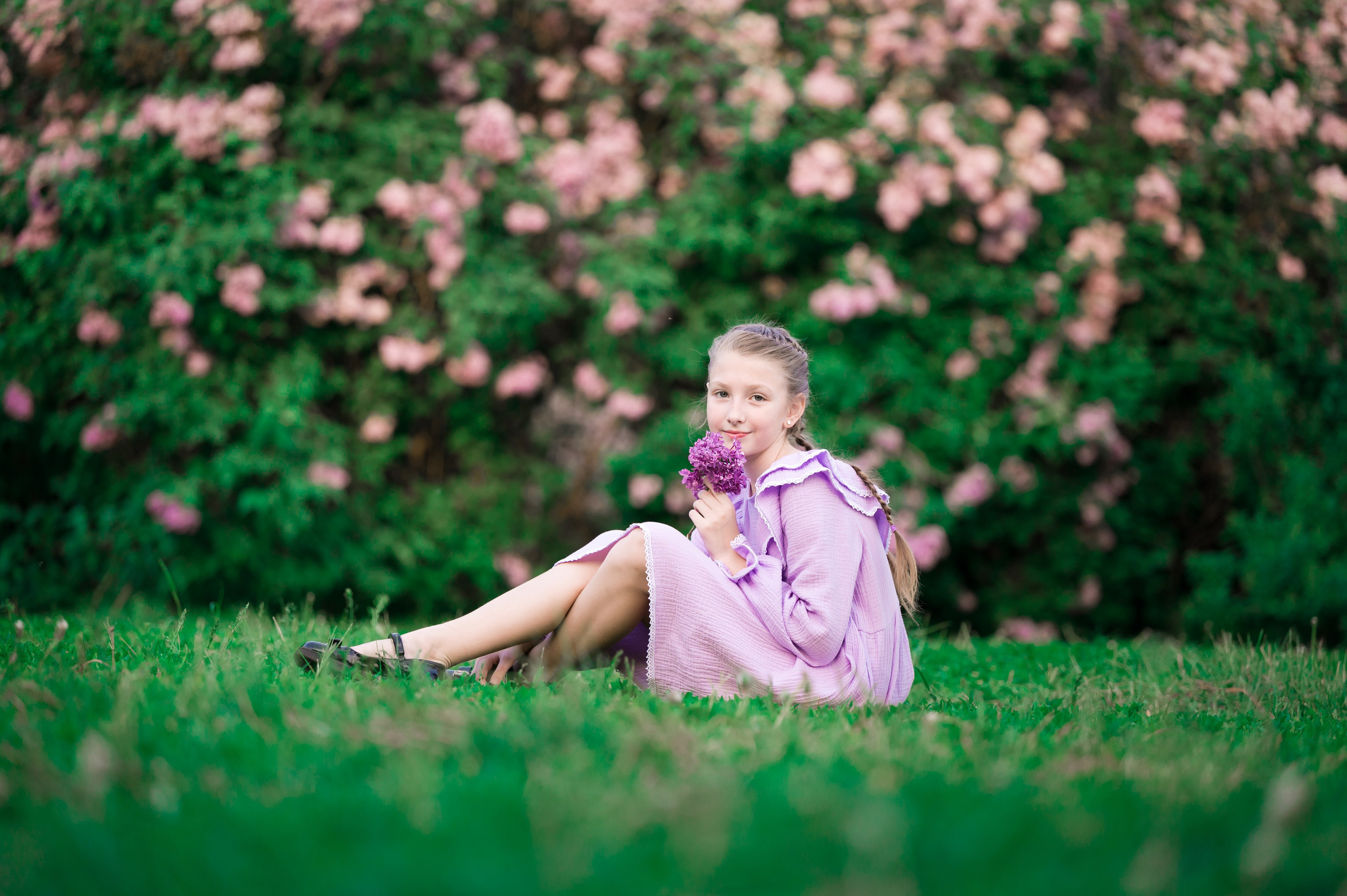 Сиреневый сад. Фотограф Егоров Констанин