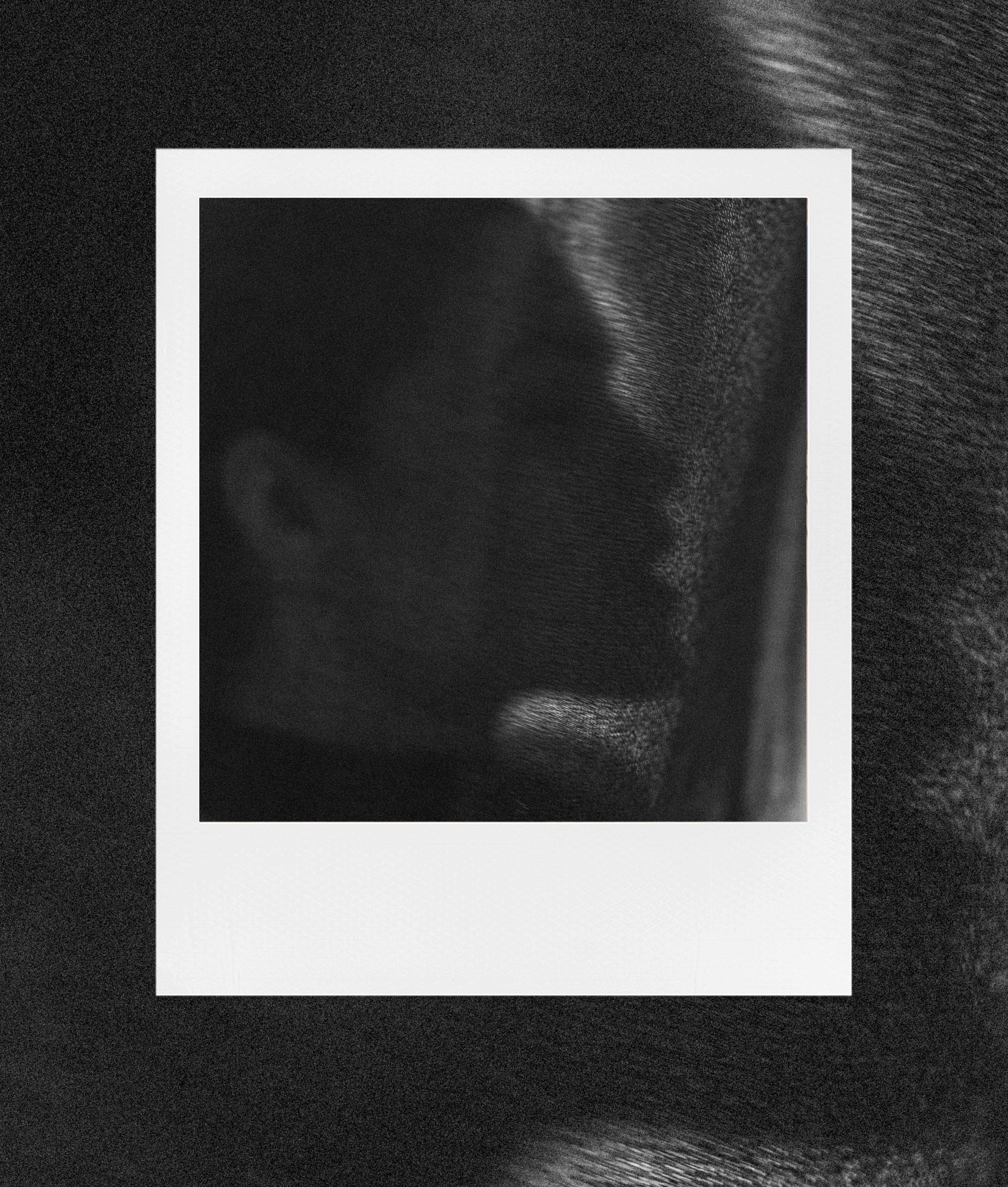 Творческая портретная фотосессия в студии в Санкт-Петербурге для Виктории. Светлана Гопанюк. Портретный фотограф. Санкт-Петербург. СПб