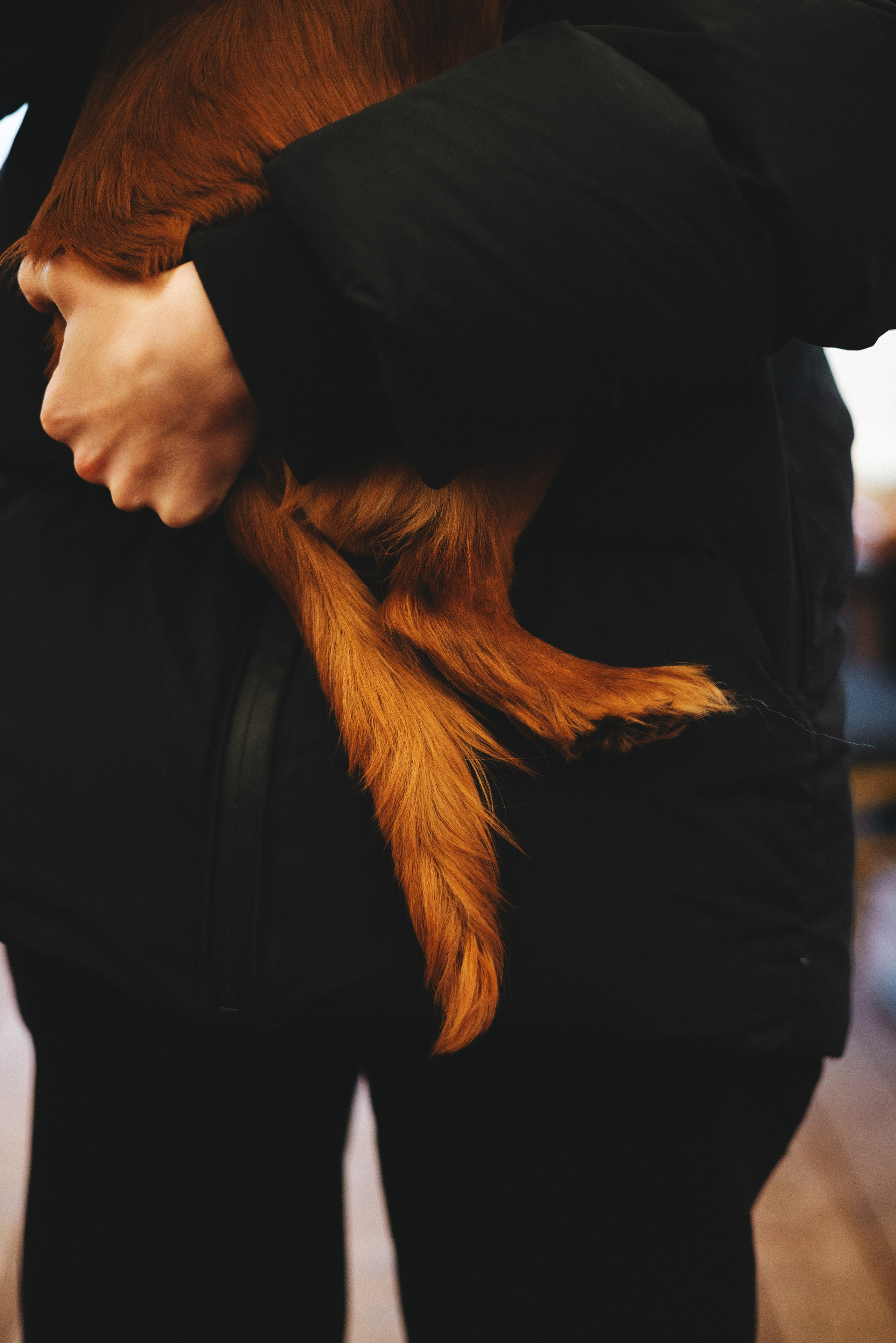 Встреча ККЧС. Фотограф анималист Осипчикова Мария