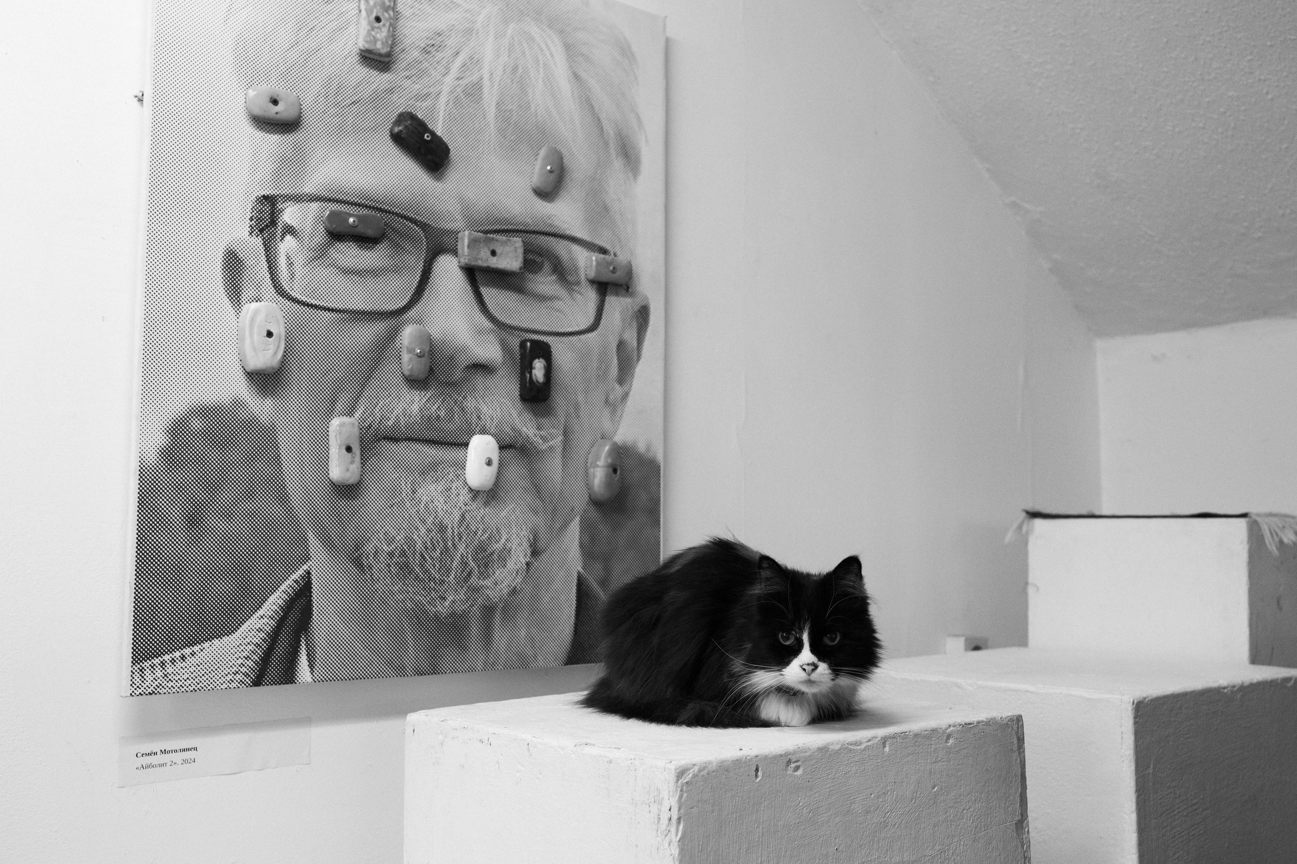 Середина нигде. Варвара Бабёнышева