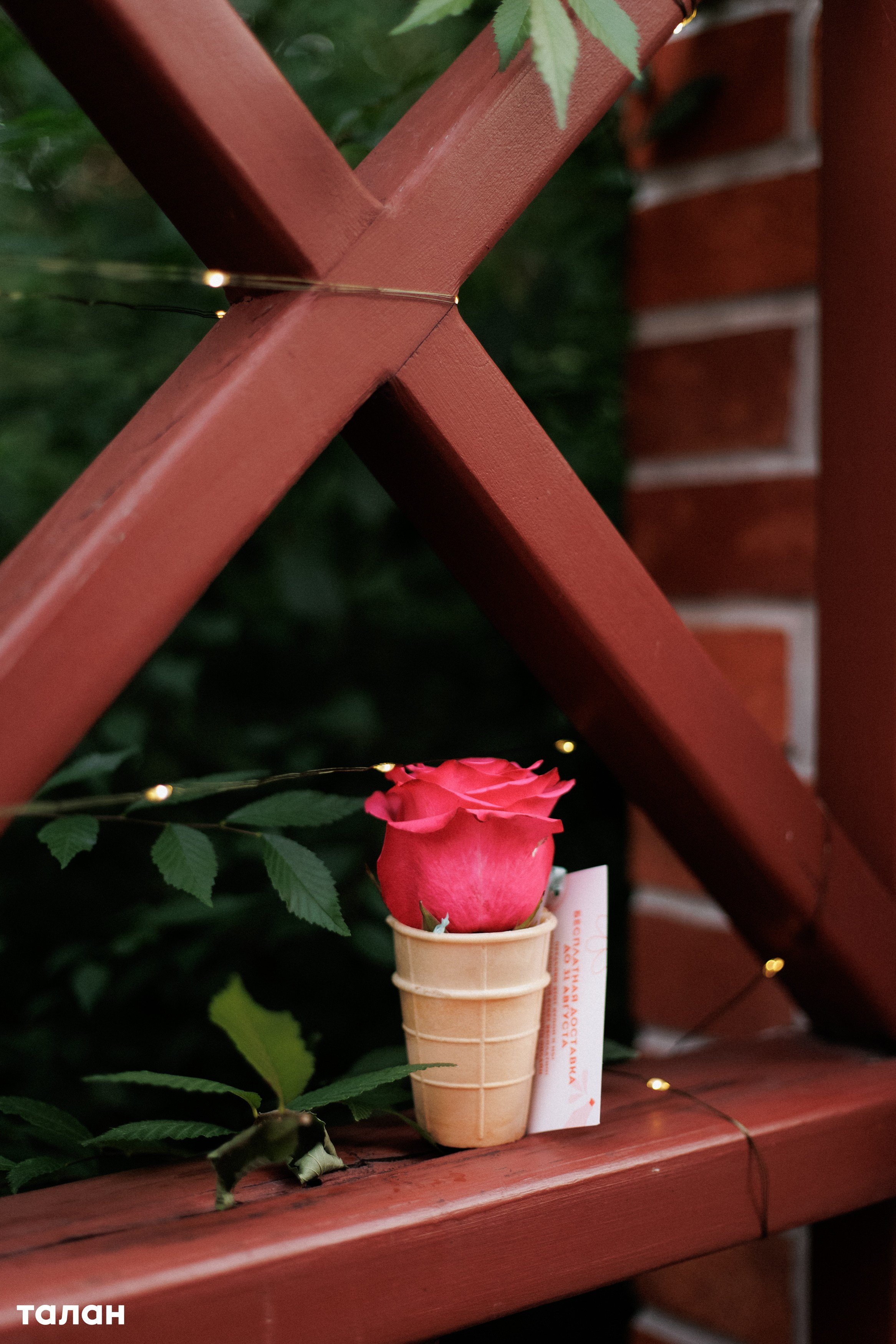 ВИНОТЕКА [бар+магаз] — BIRTHDAY PARTY. СВОИ. ФОТООТЧЕТЫ-СОБЫТИЯ-МЕСТА