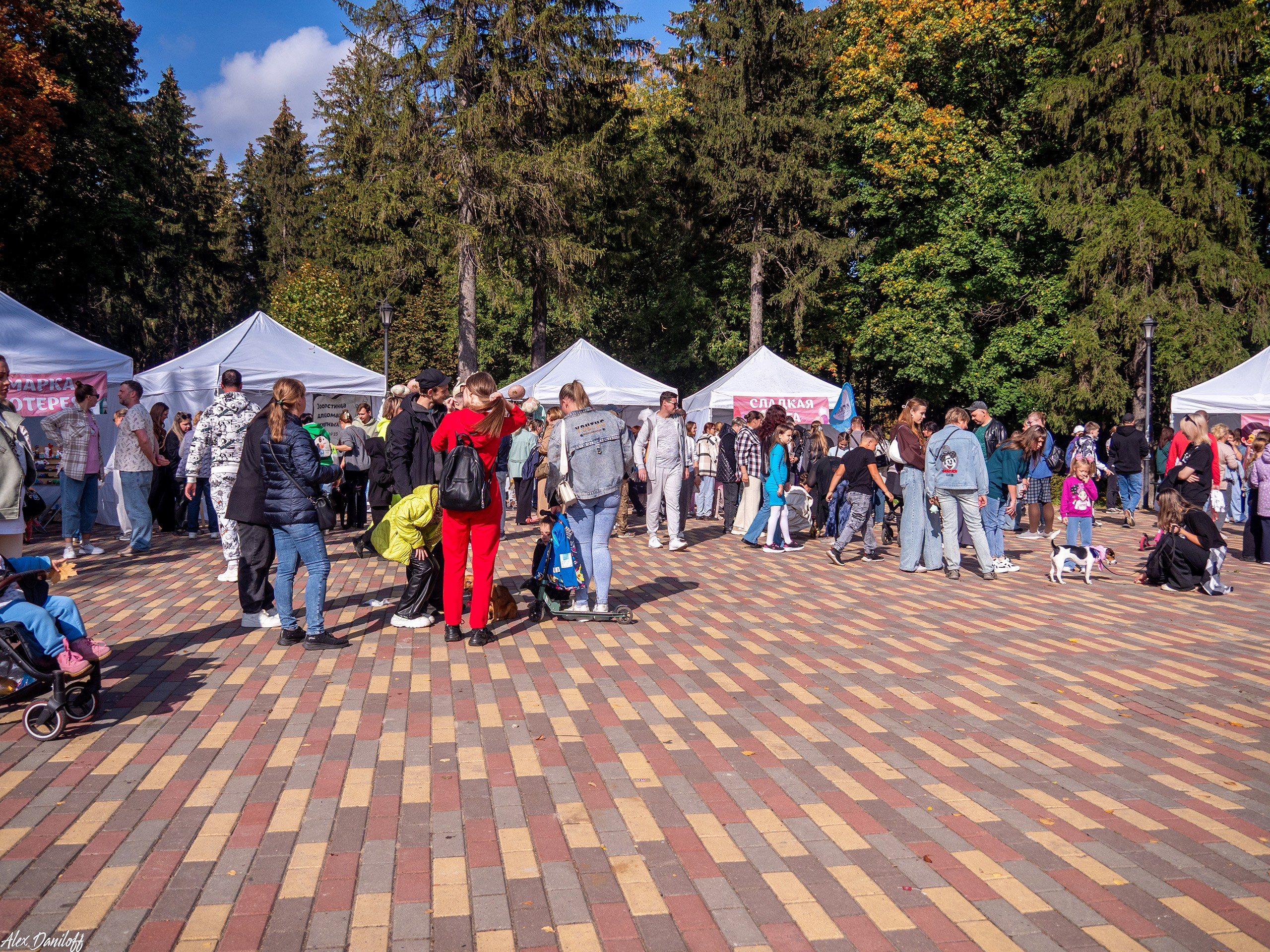 Обнимака 2025. Муром-Инфо. Новости культуры, образования, спорта в городе Муром