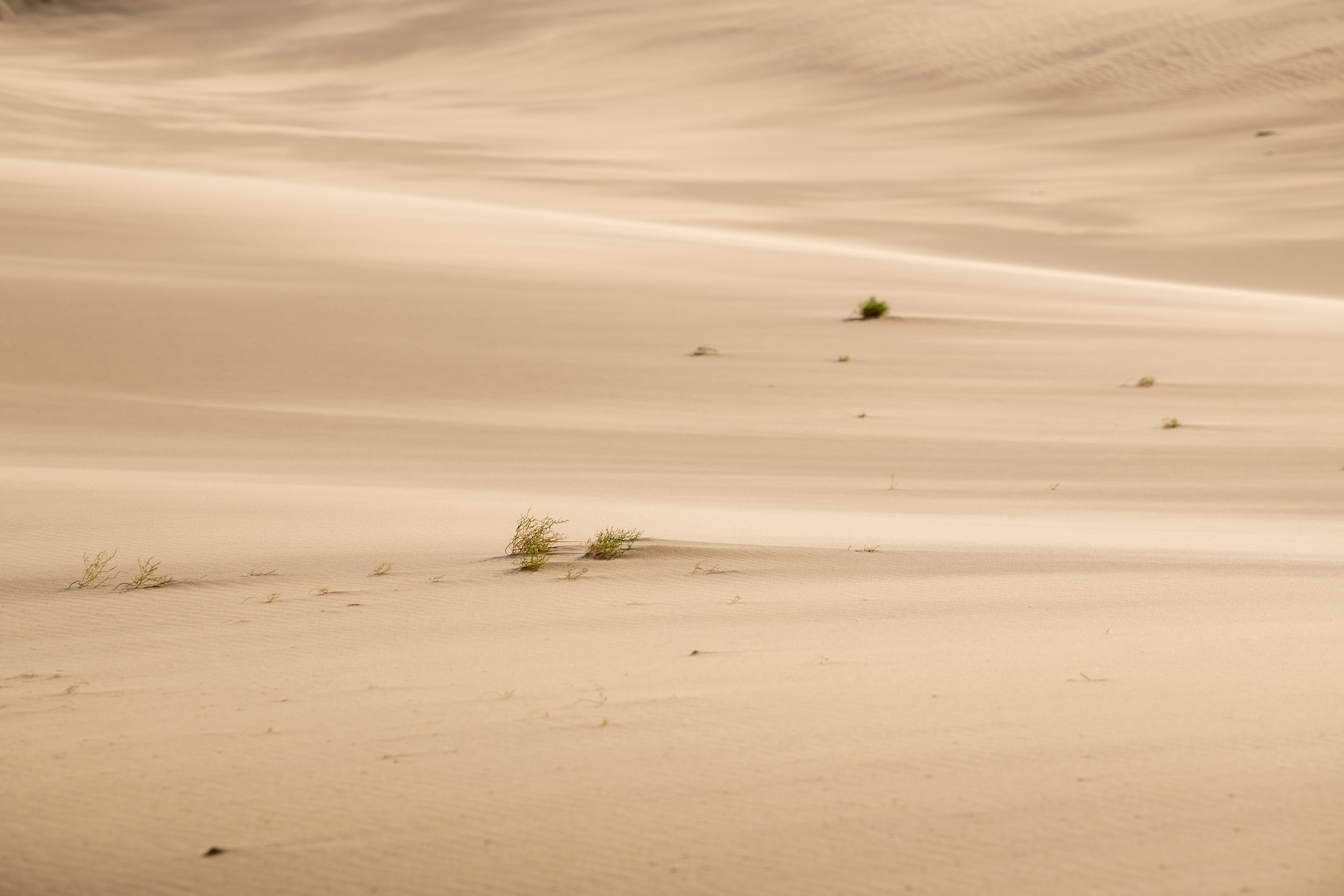 Природа Дагестана, сентябрь 2024. Foto-Zuev фотография как искусство