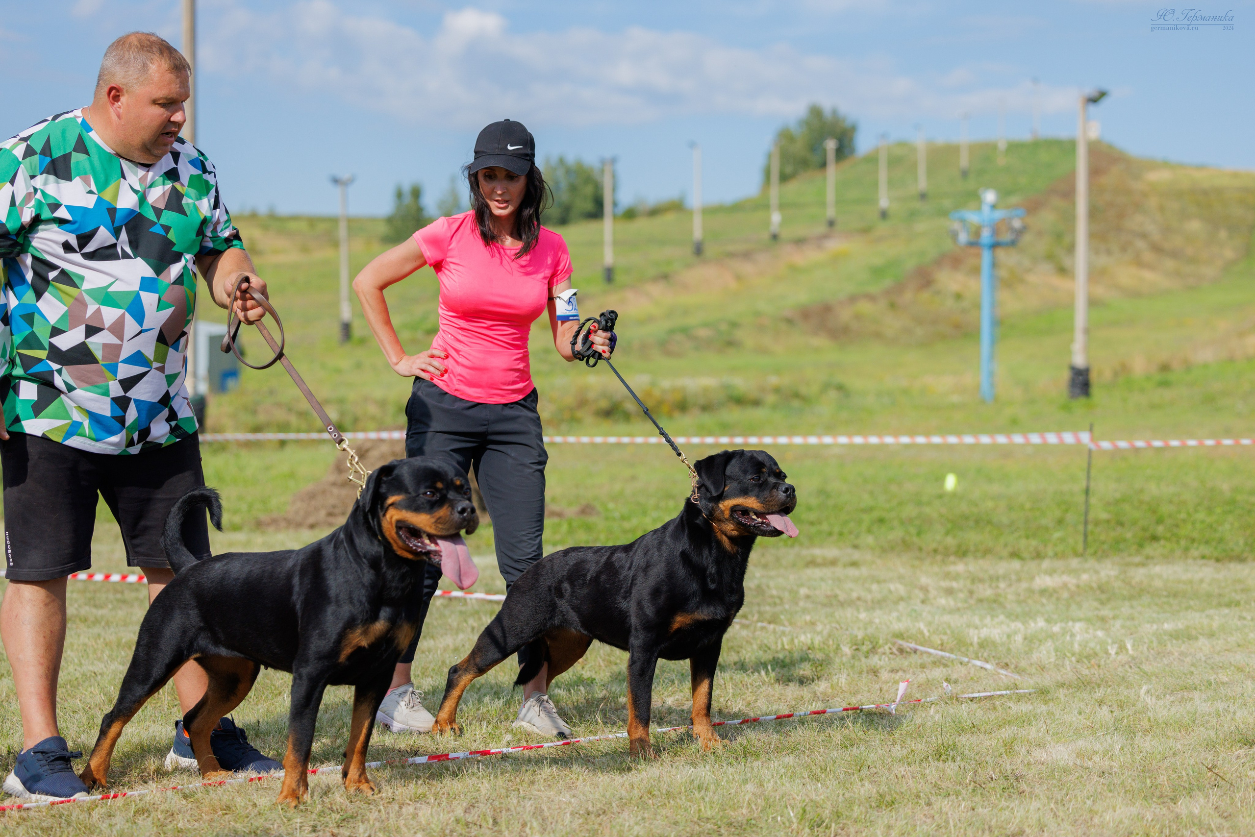 Рязань-Ховрино 10-11.08.2024 3хмоно ротвейлеров. Фотограф-анималист Юлия Германика