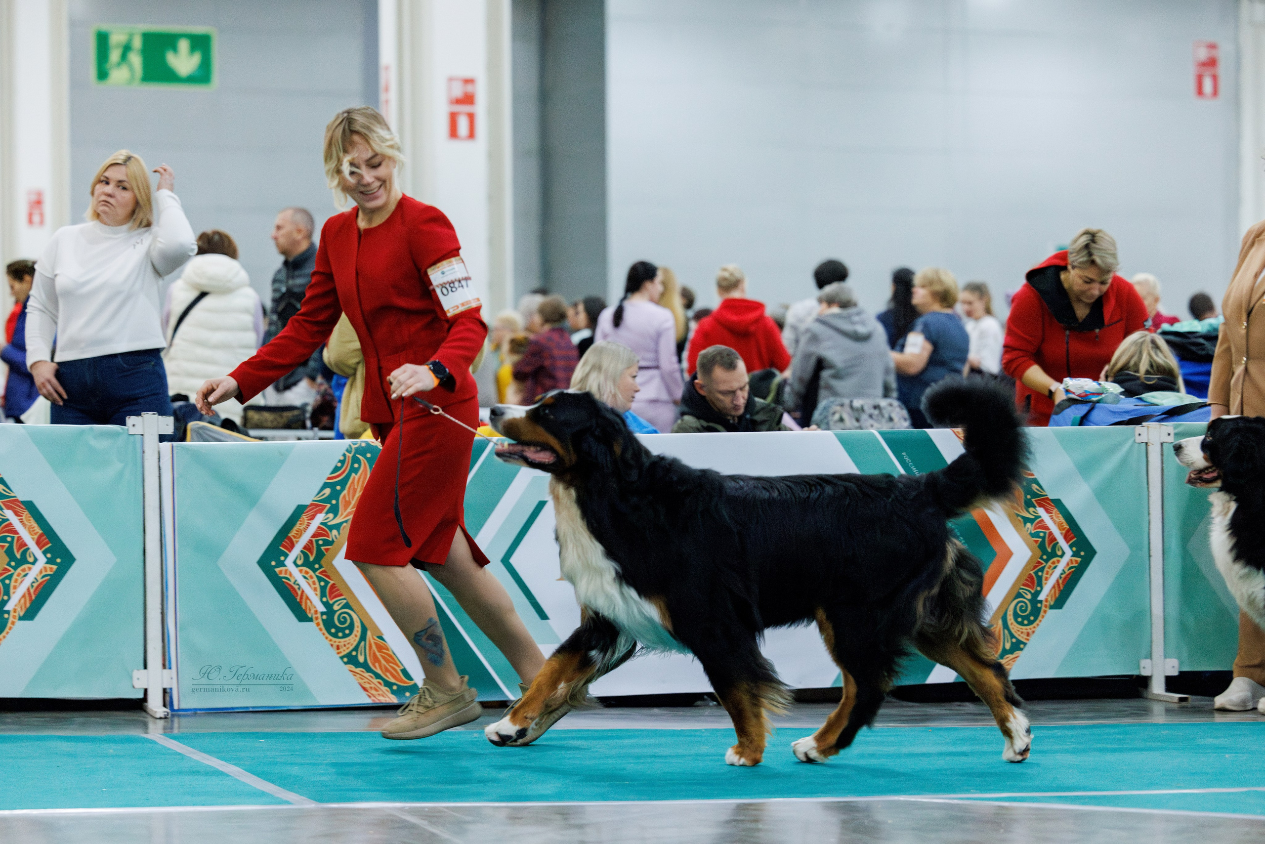 Евразия 16-17.11.2024. Фотограф-анималист Юлия Германика