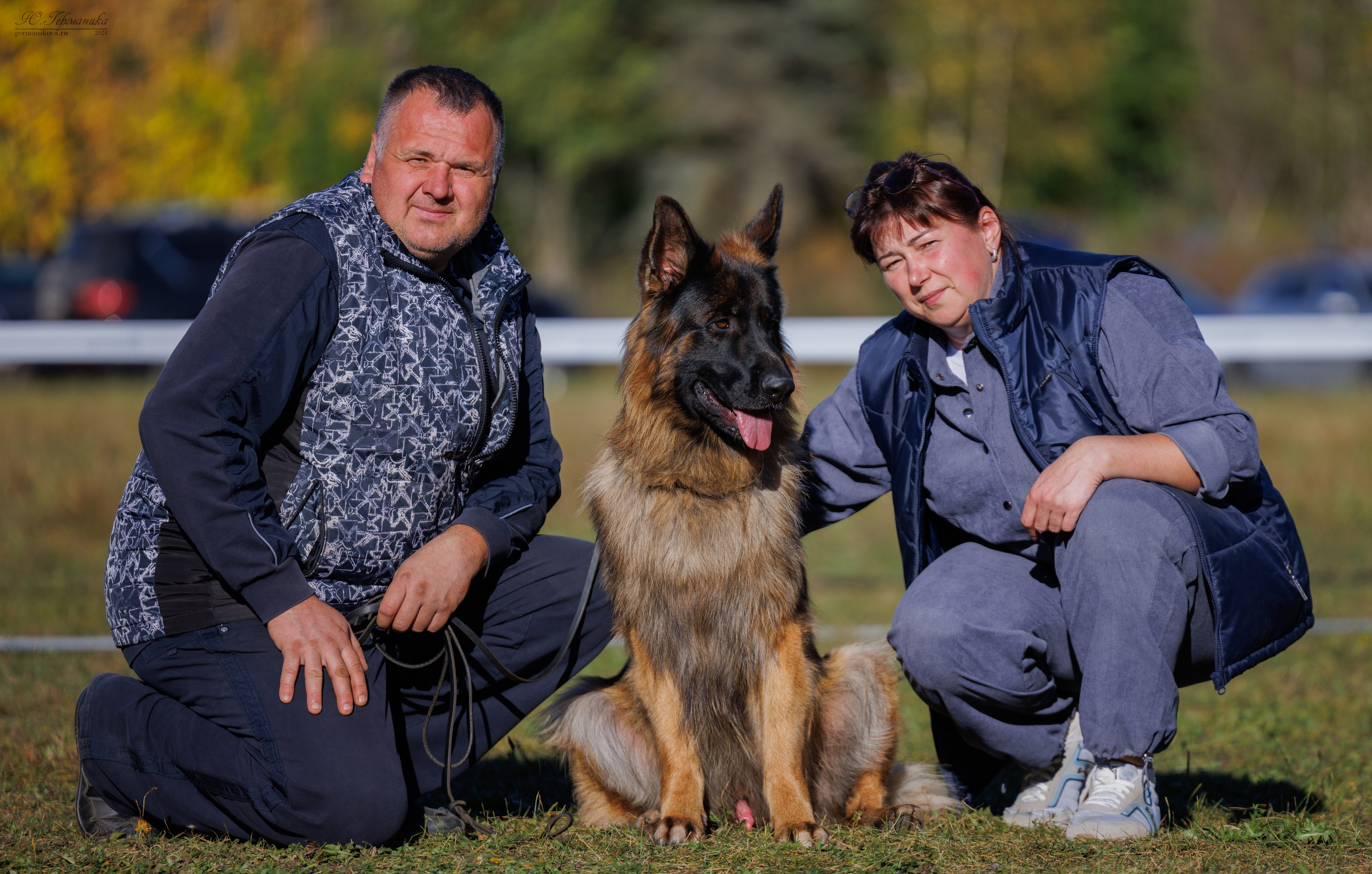 Тверь немецкие овчарки 22.09.2024. Фотограф-анималист Юлия Германика