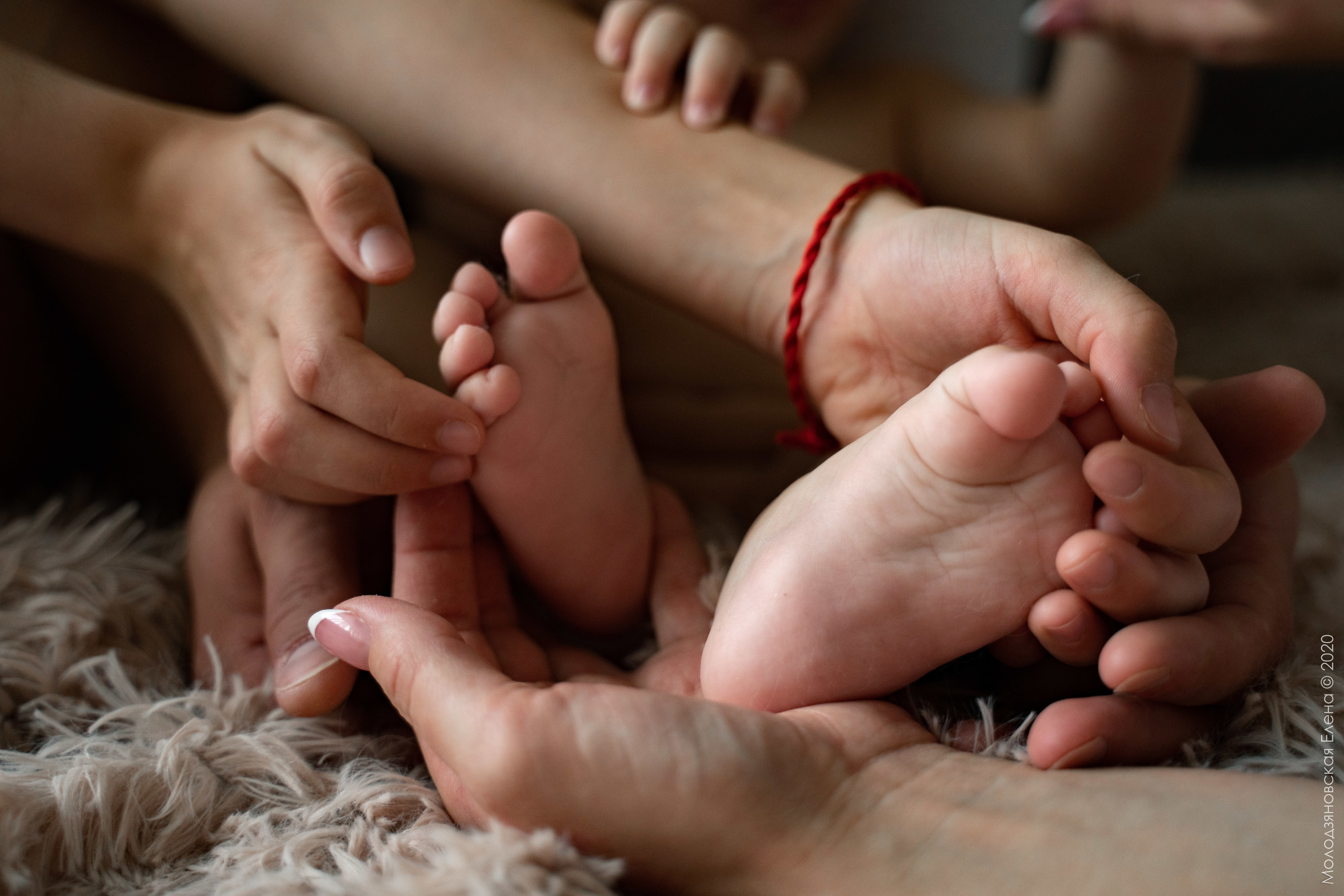 Домашний фотограф г. Магнитогорск. Семейный и свадебный фотограф Молодзяновская Елена