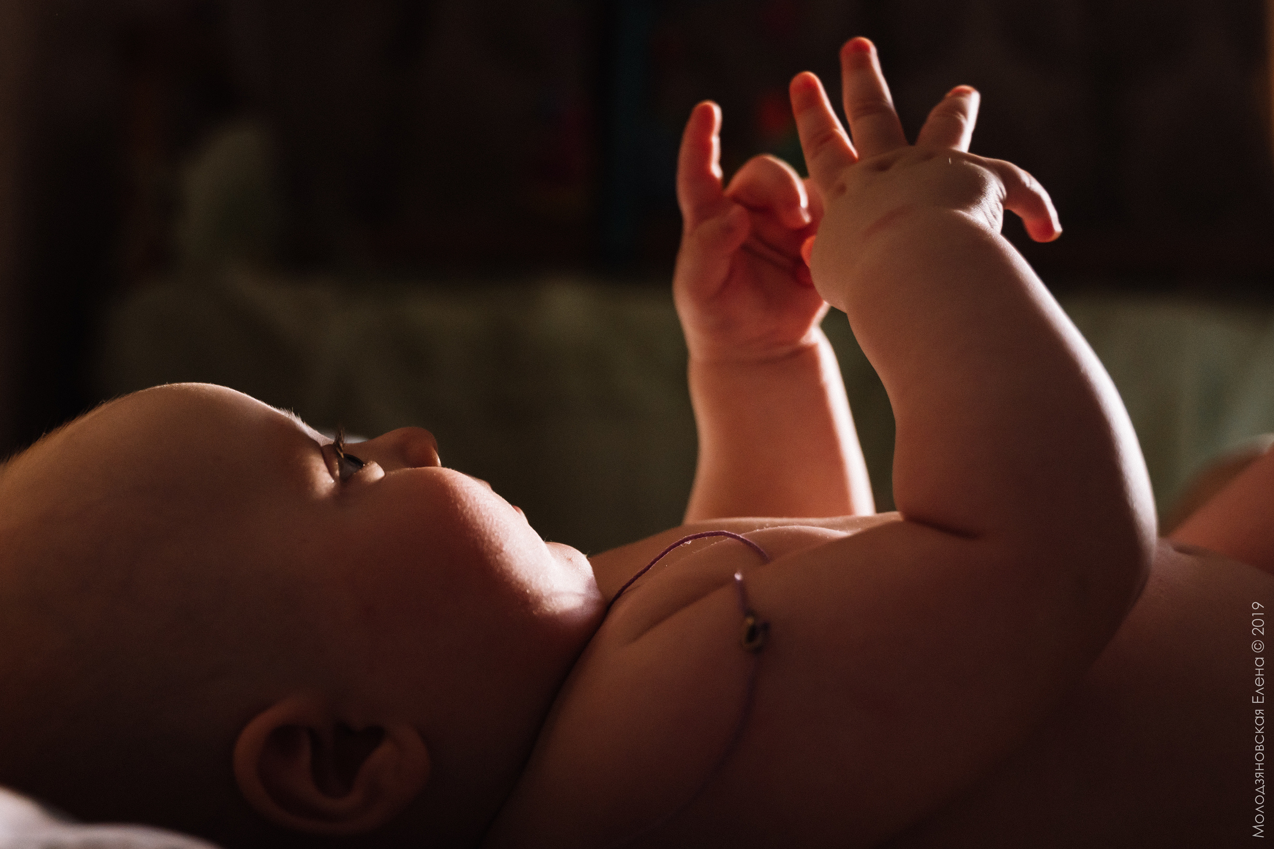 Домашний фотограф г. Магнитогорск. Семейный и свадебный фотограф Молодзяновская Елена