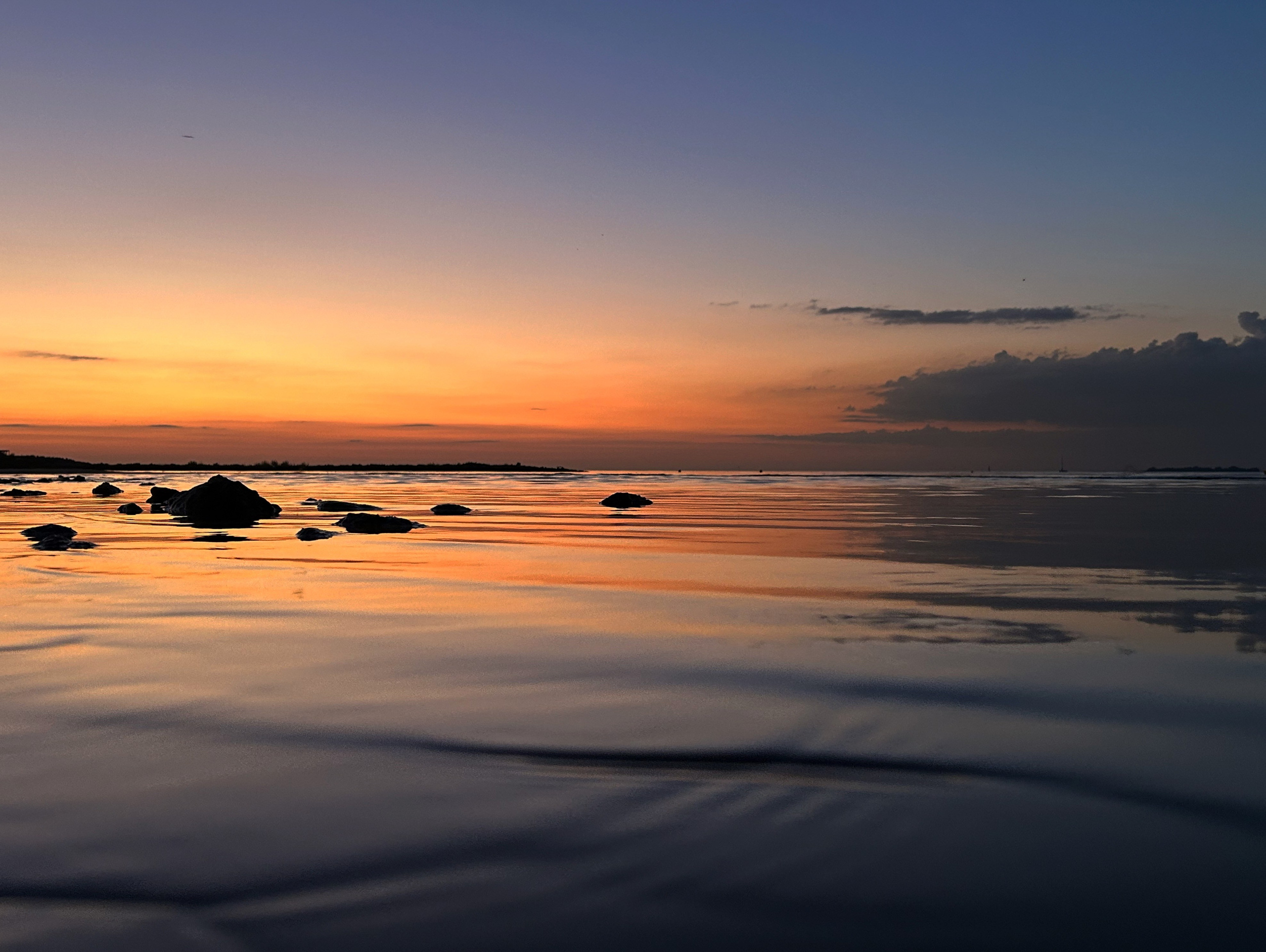 Лето, ах лето. Фотокружок «Видоискатель» ГБОУ СОШ № 291