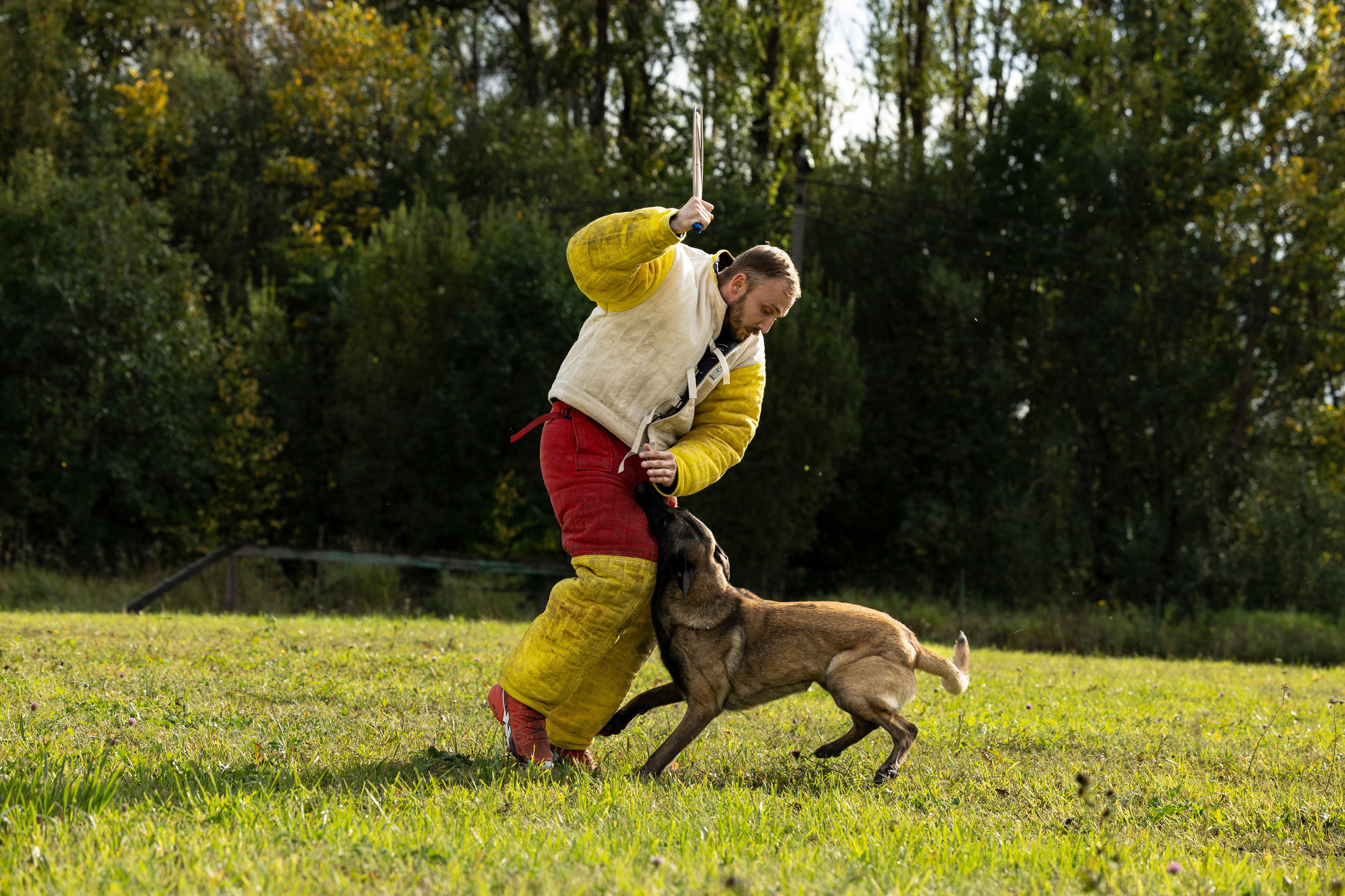 Испытания по Мондьорингу г. Пушкин. Фотограф-анималист Анна Маринич