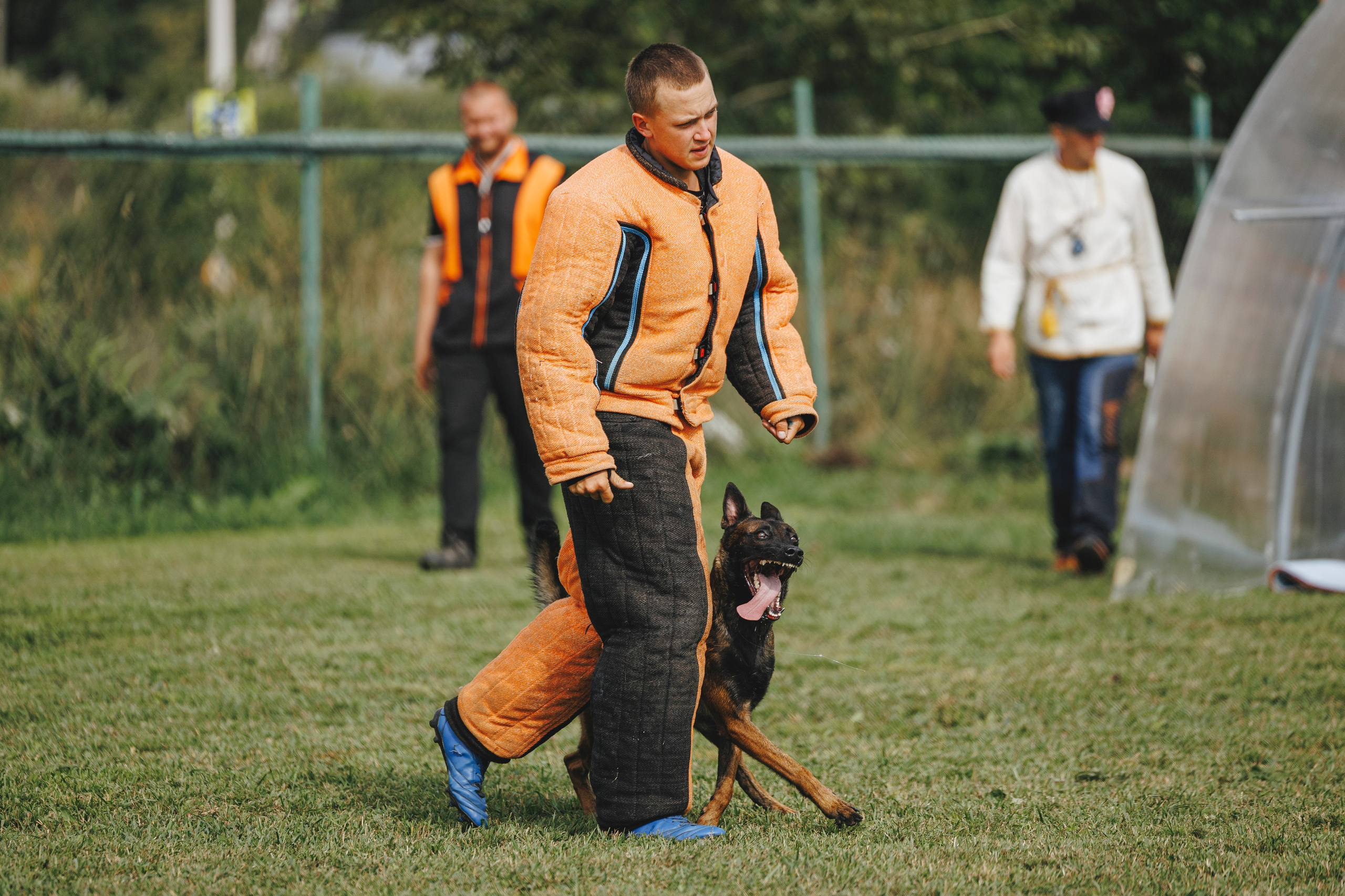 08.08.25-10.08.25 ЧР по мондьорингу г. Вологда. Фотограф-анималист Анна Маринич
