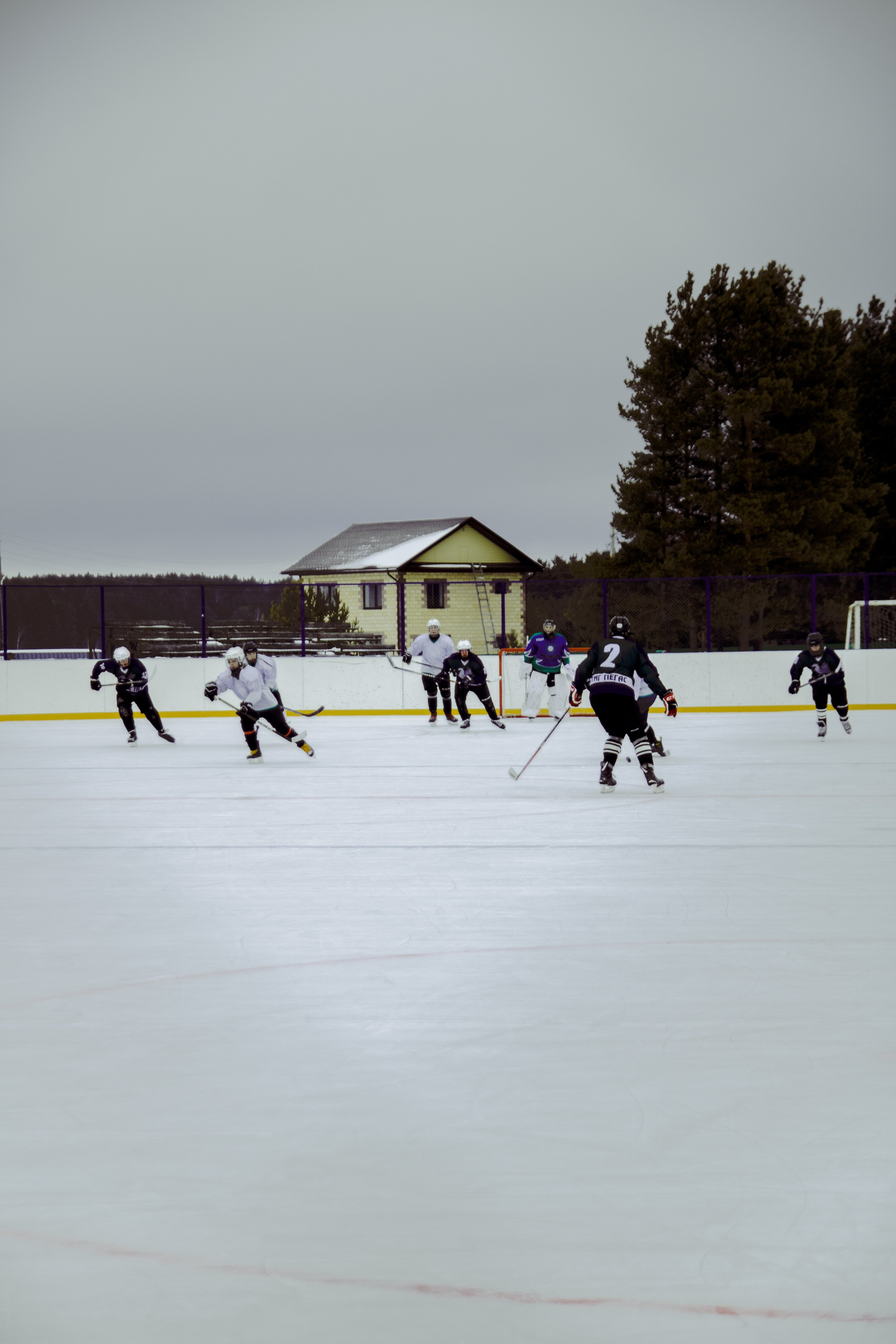 Хоккей 29.12.2024