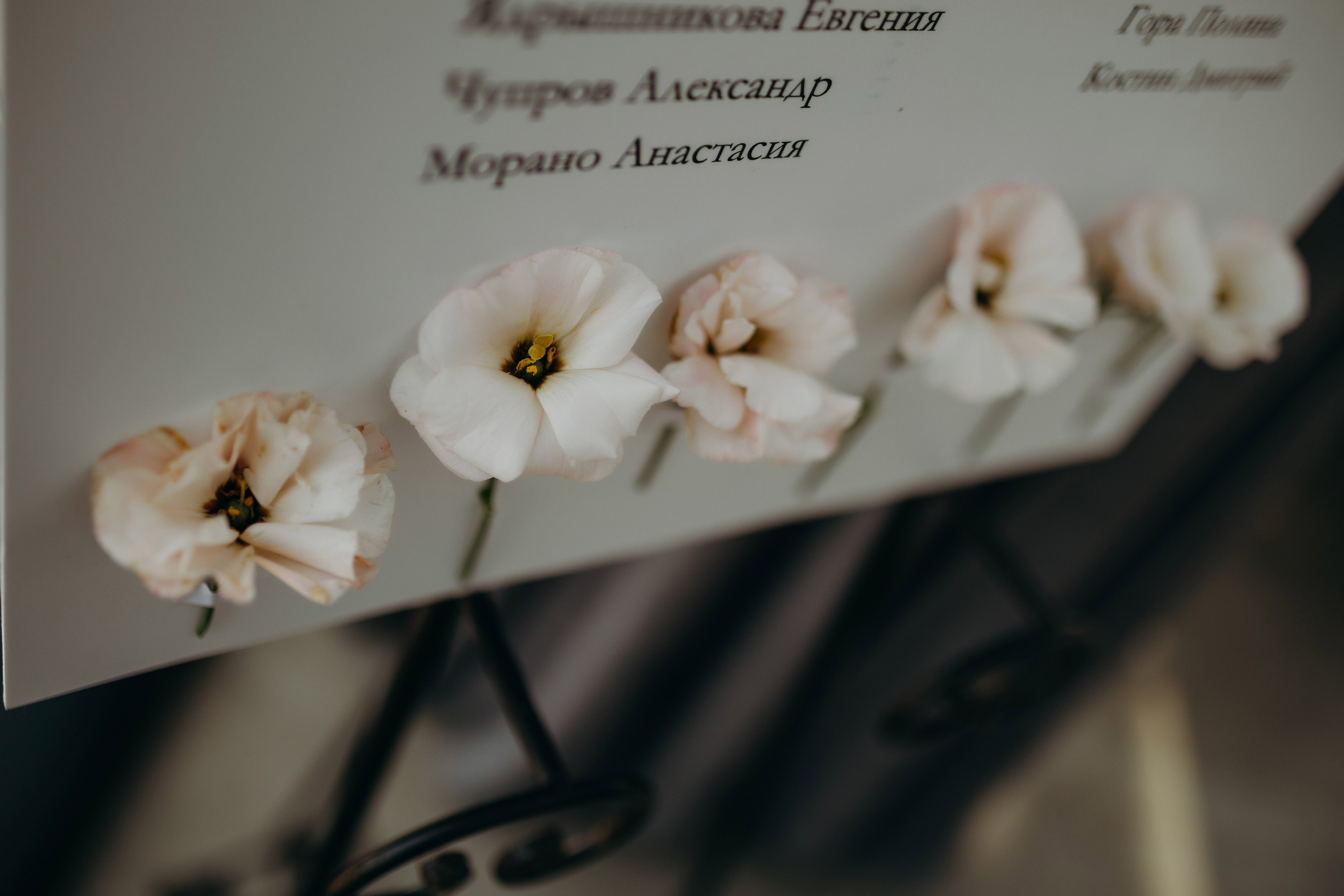 Wedding day 30.08.24. Свадебный фотограф в Санкт-Петербурге