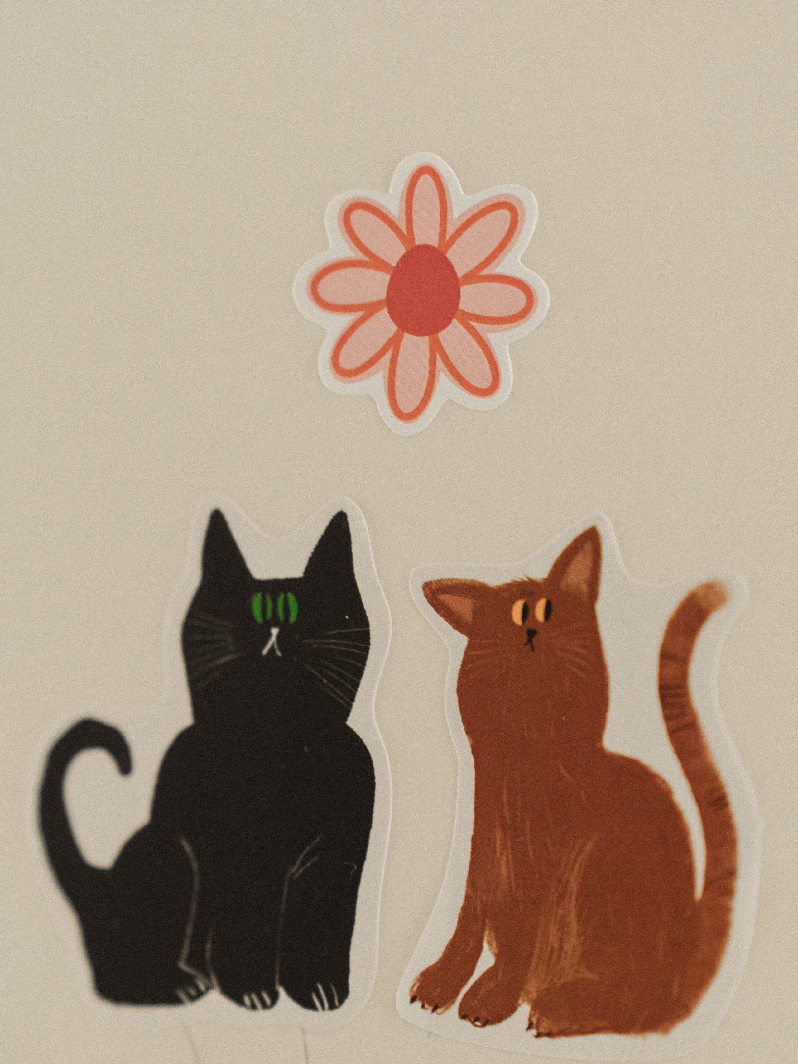 Сережа и Варя. Свадебный фотограф Михаил Мирзоян