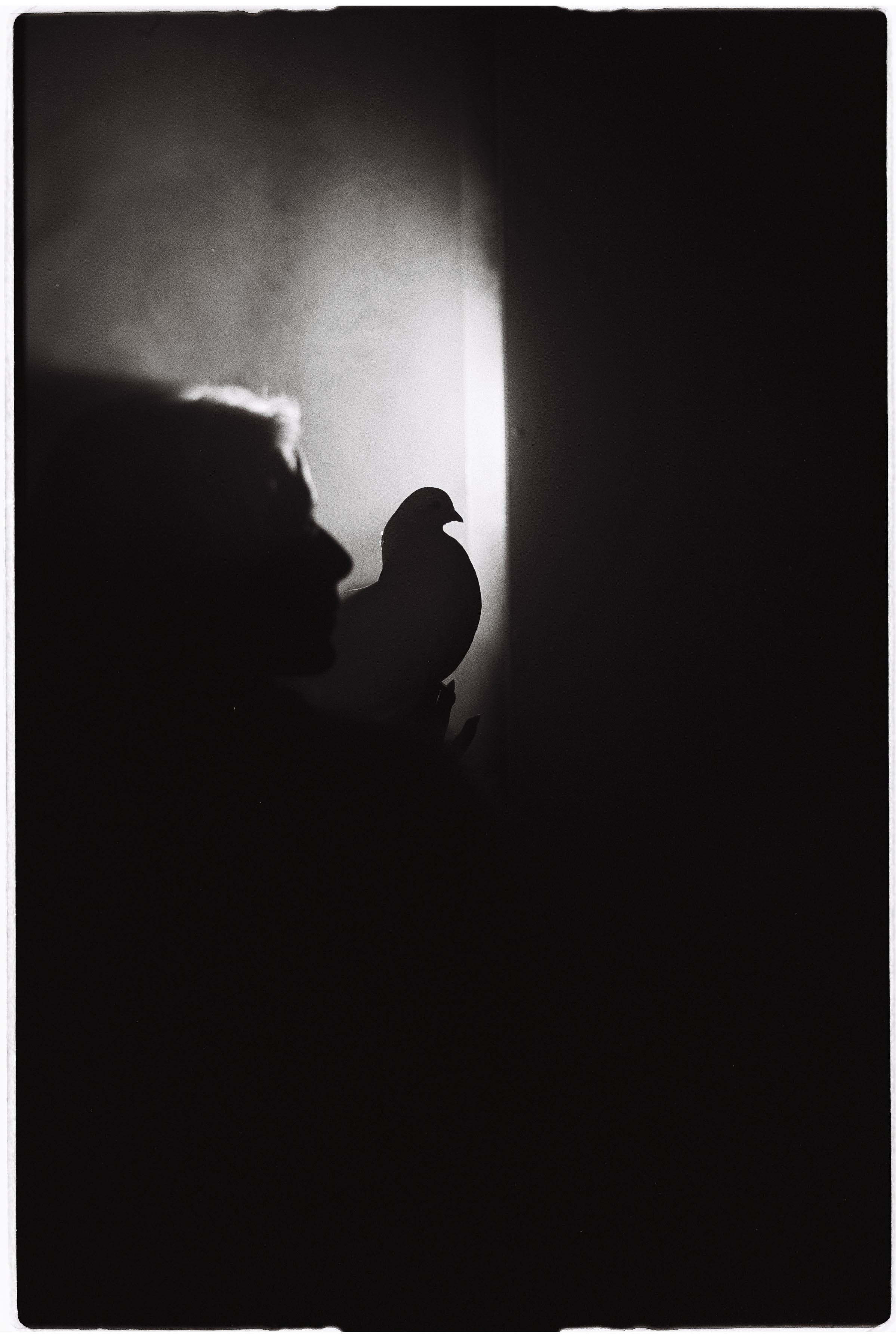 Polyna. MARK DOROHOV