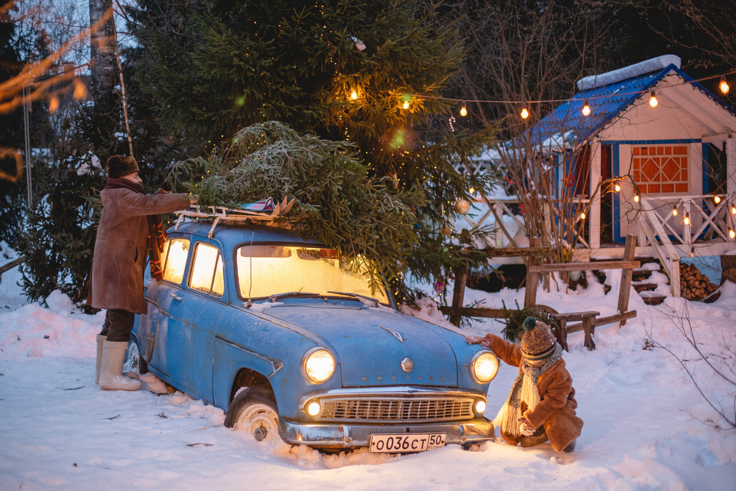 Домик в лесу. Семейный фотограф в Москве Анастасия Гурьянова